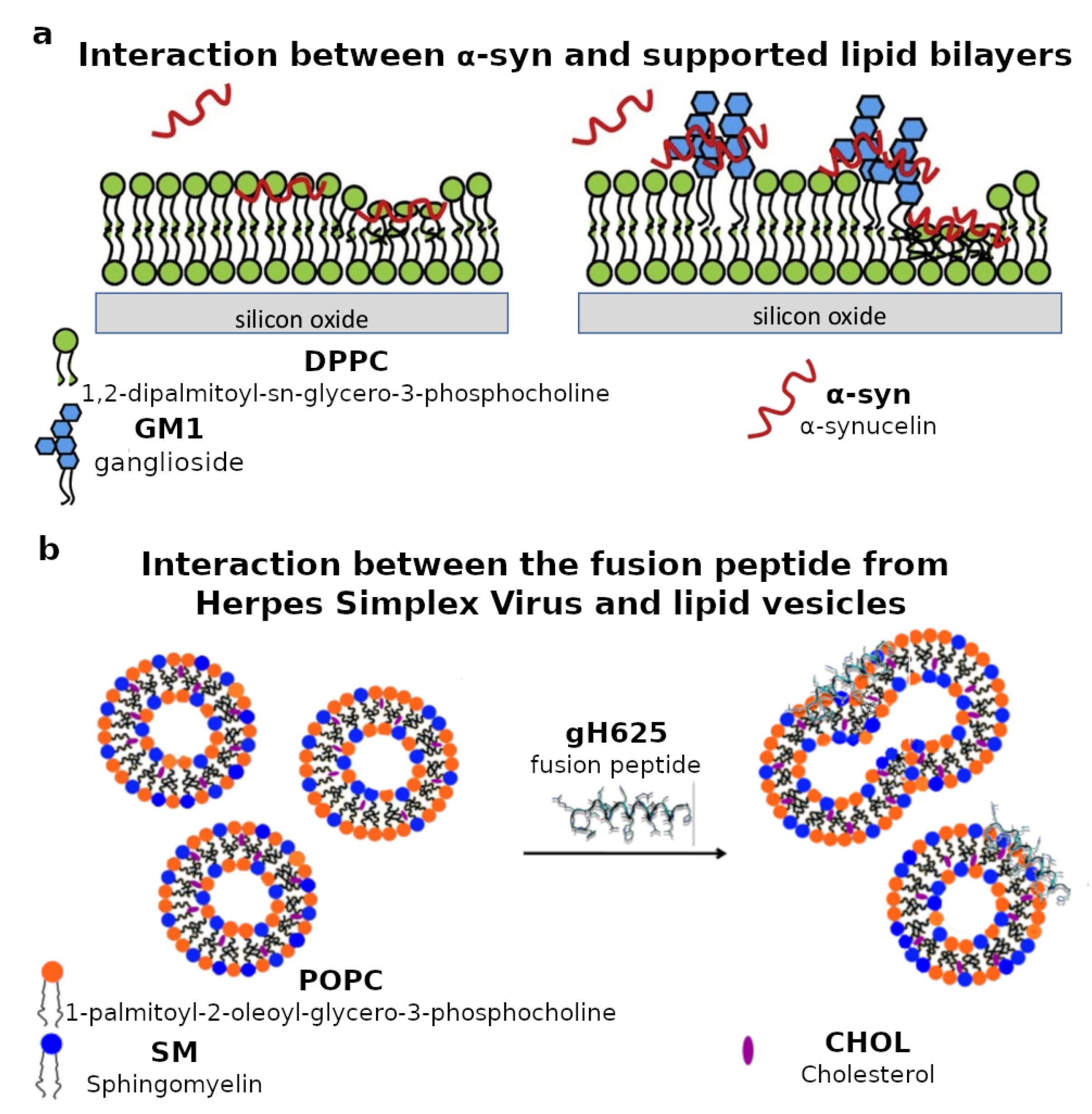 Biomimetics 06 00003 g003