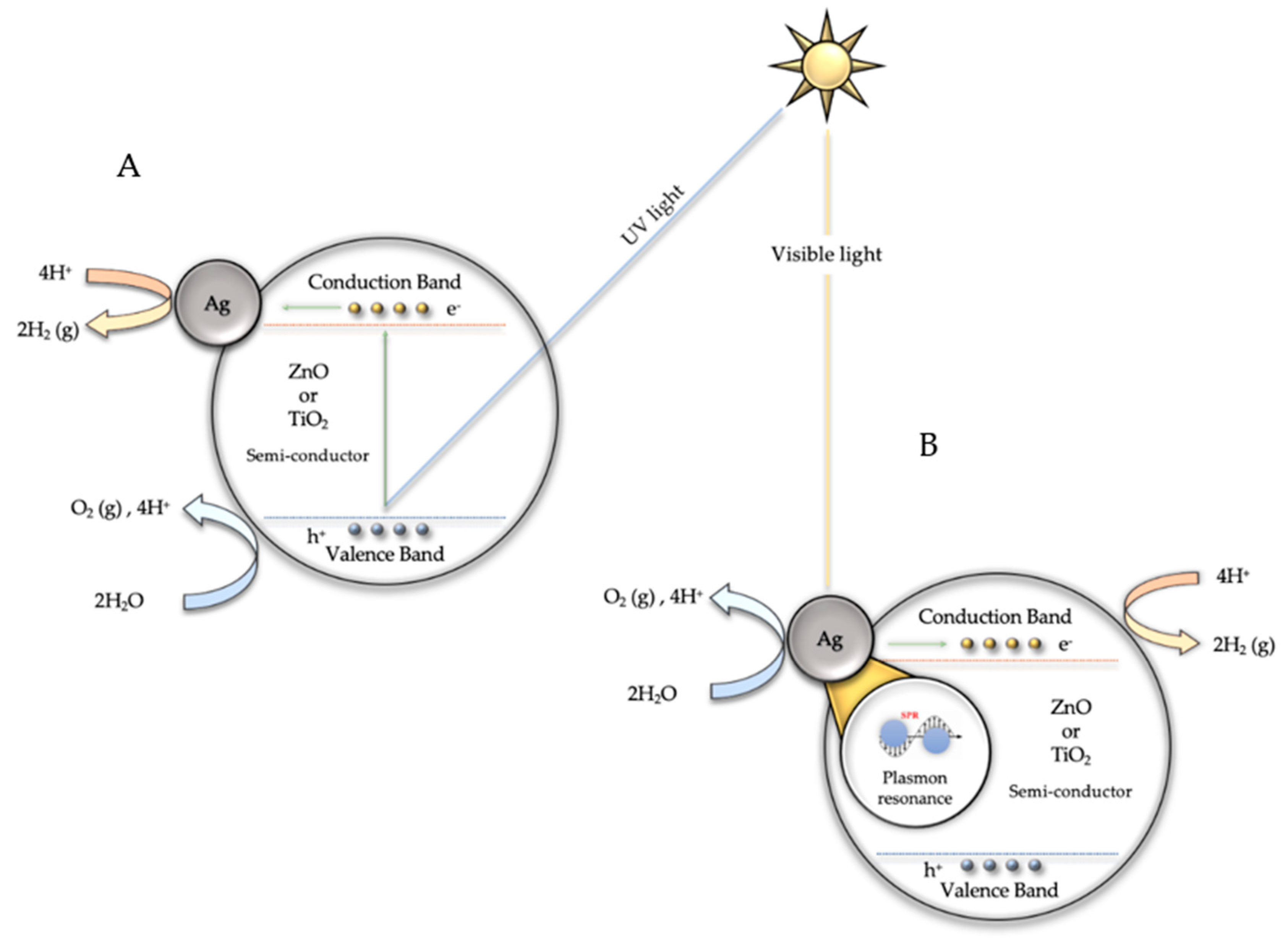 Biomimetics 06 00004 g010