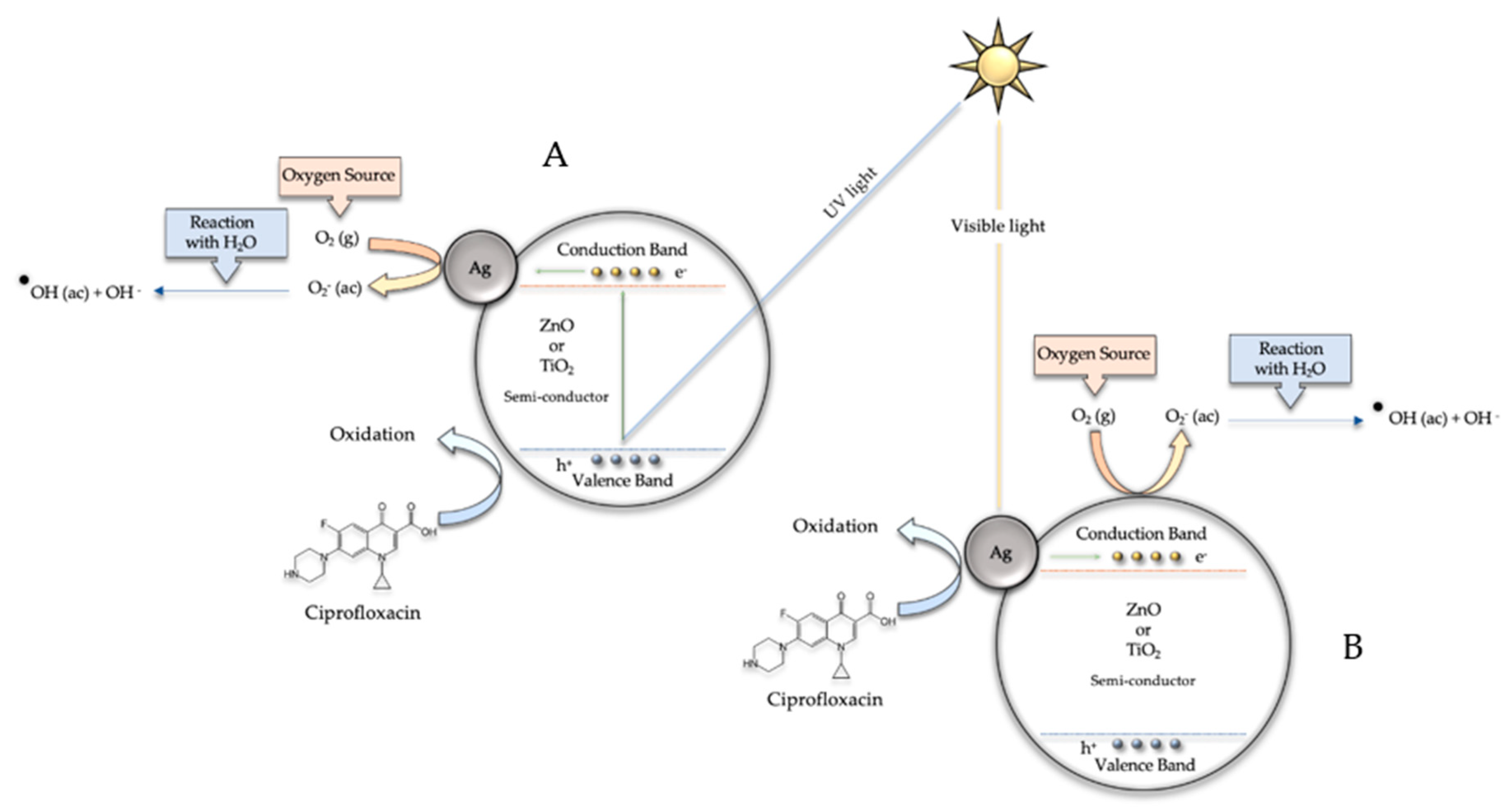 Biomimetics 06 00004 g011