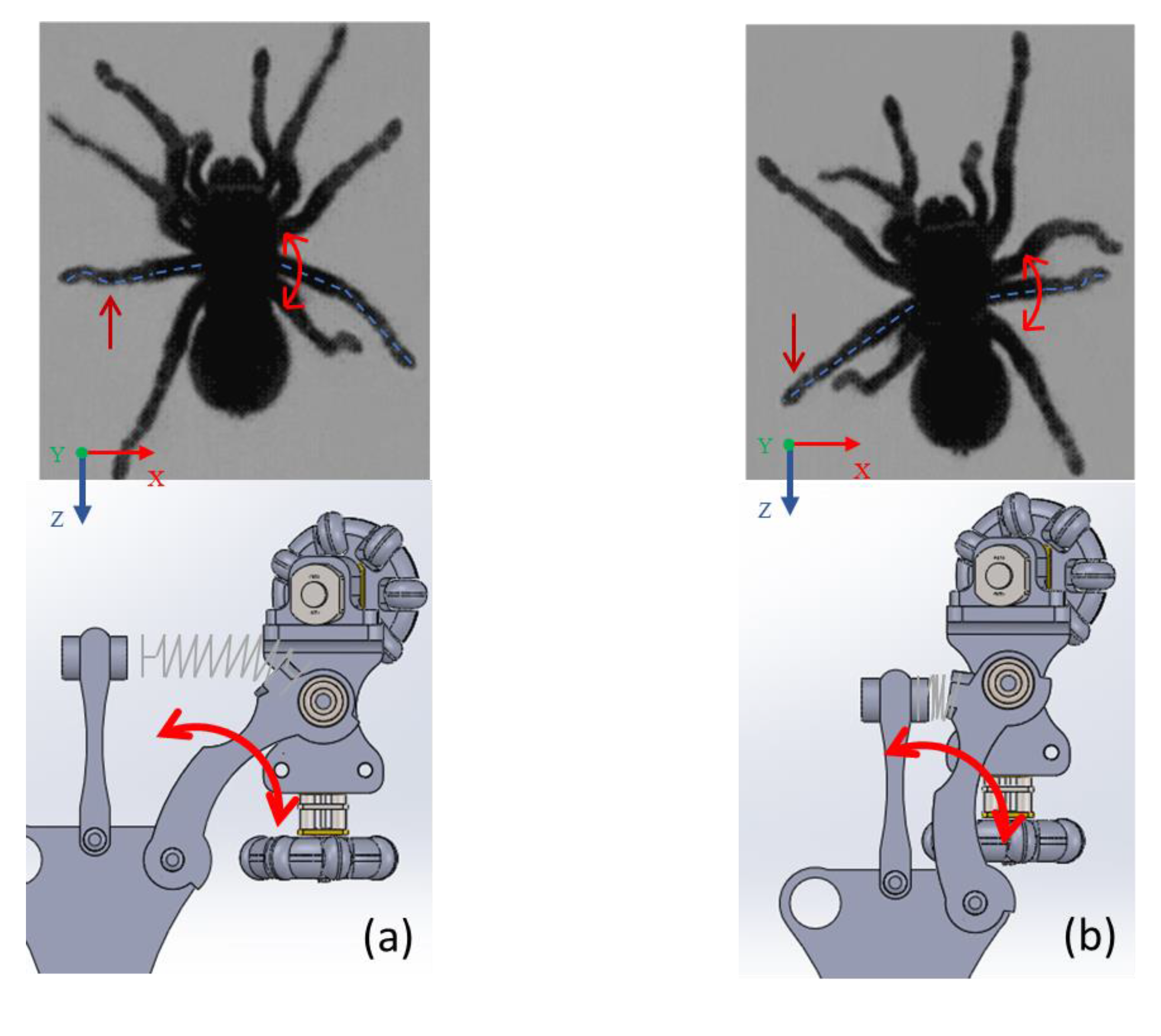 Biomimetics 06 00017 g003