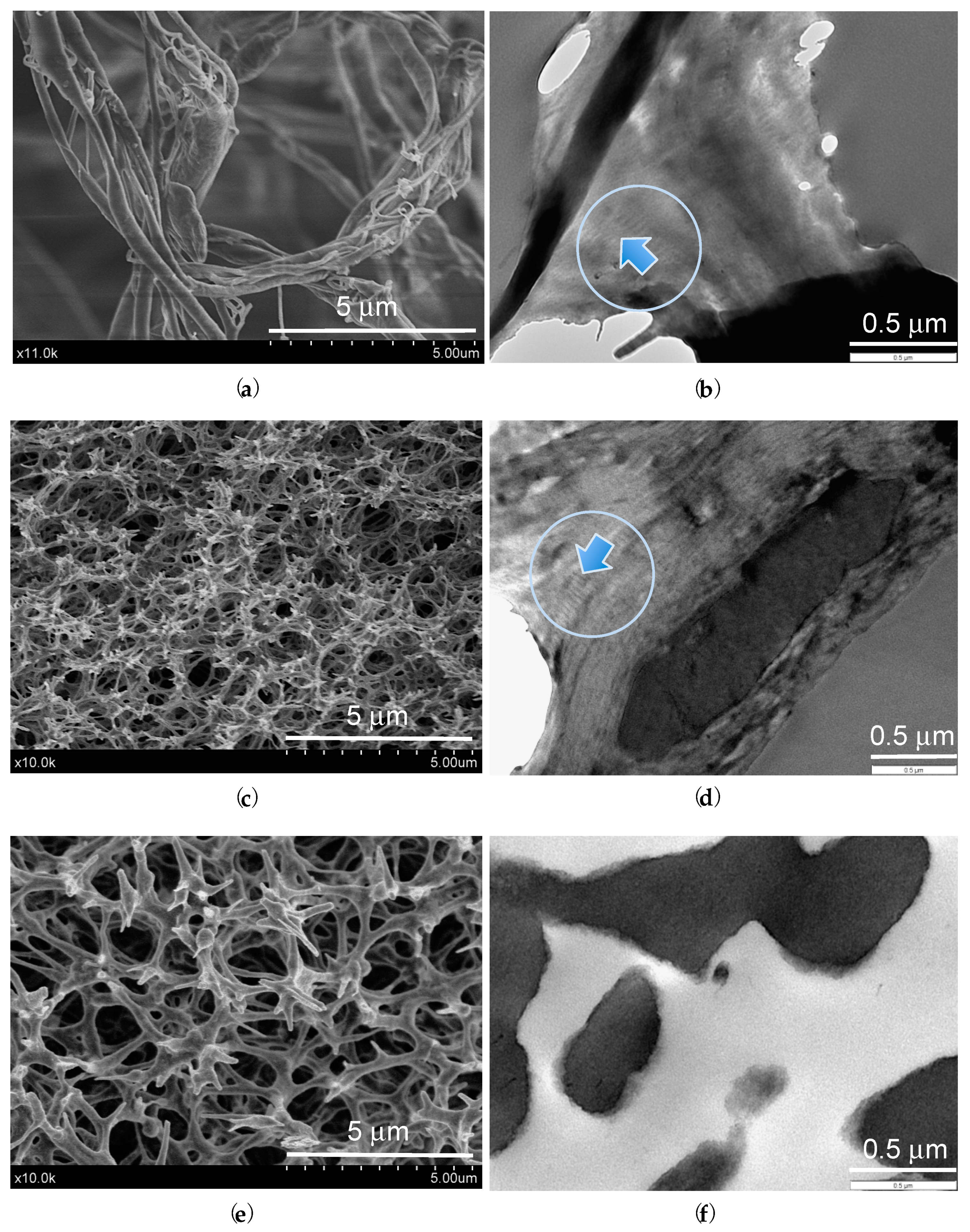 Biomimetics 06 00020 g003 Biomimetics 06 00020 g003