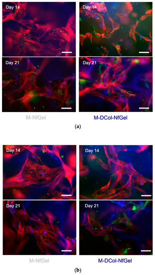 Biomimetics 06 00020 g0a1