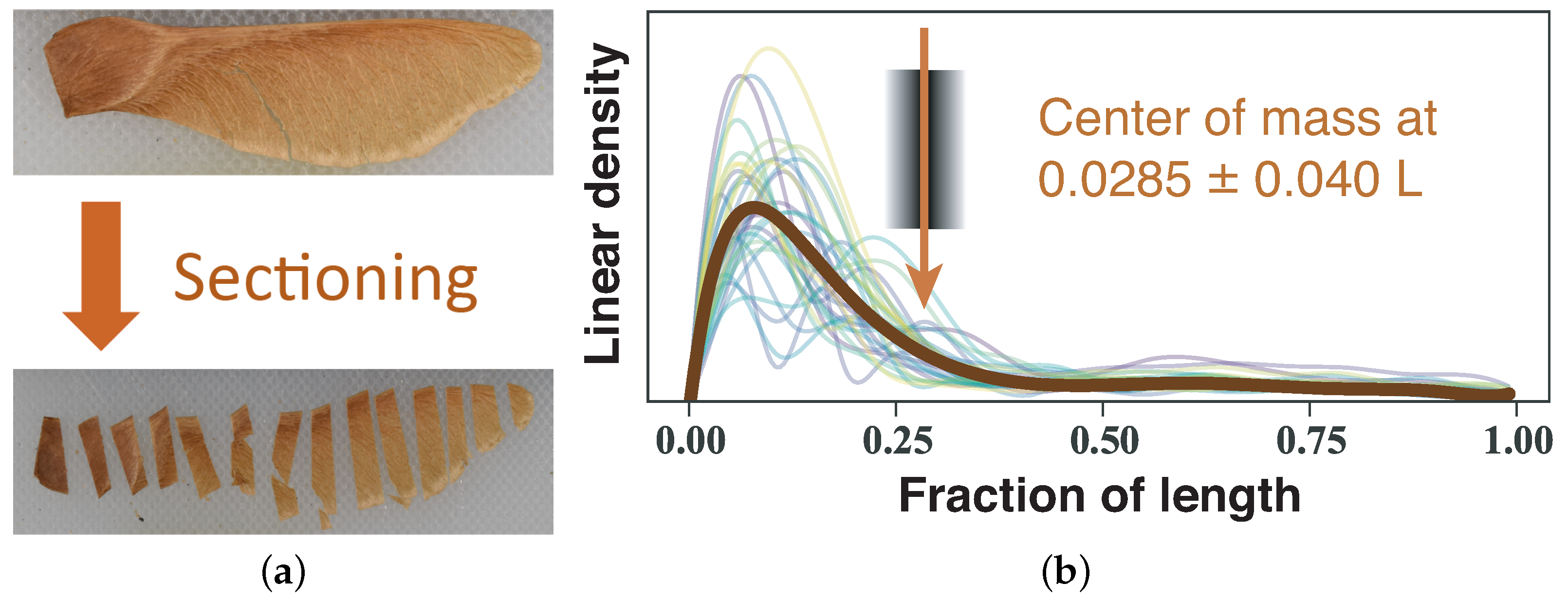 Biomimetics 06 00023 g002
