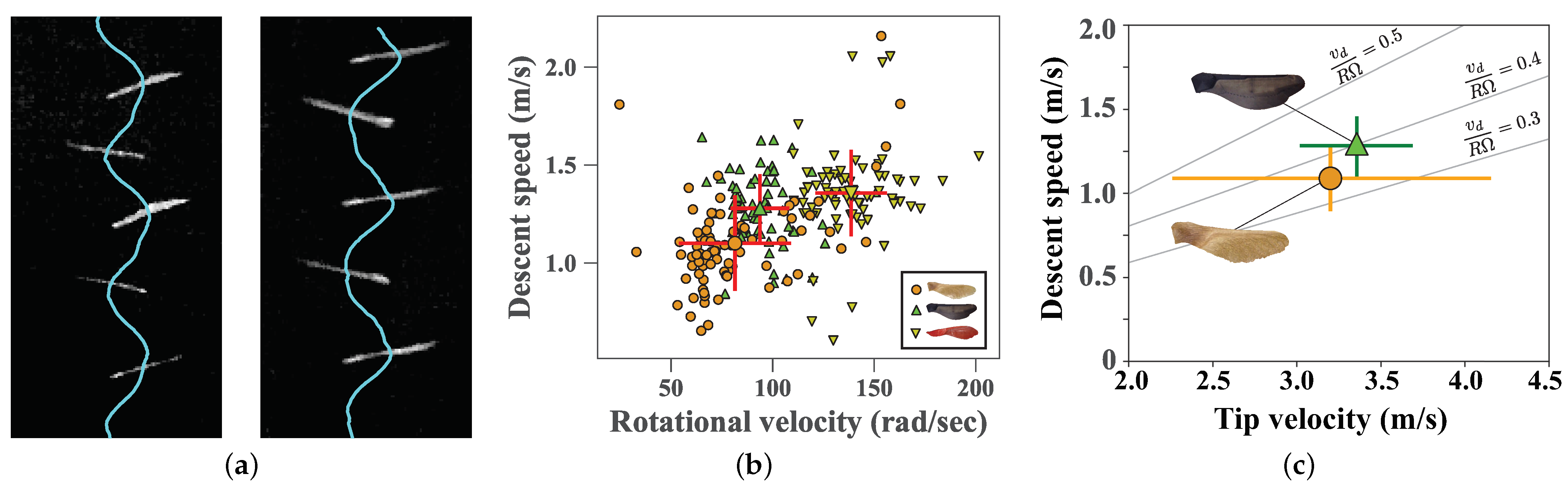 Biomimetics 06 00023 g003