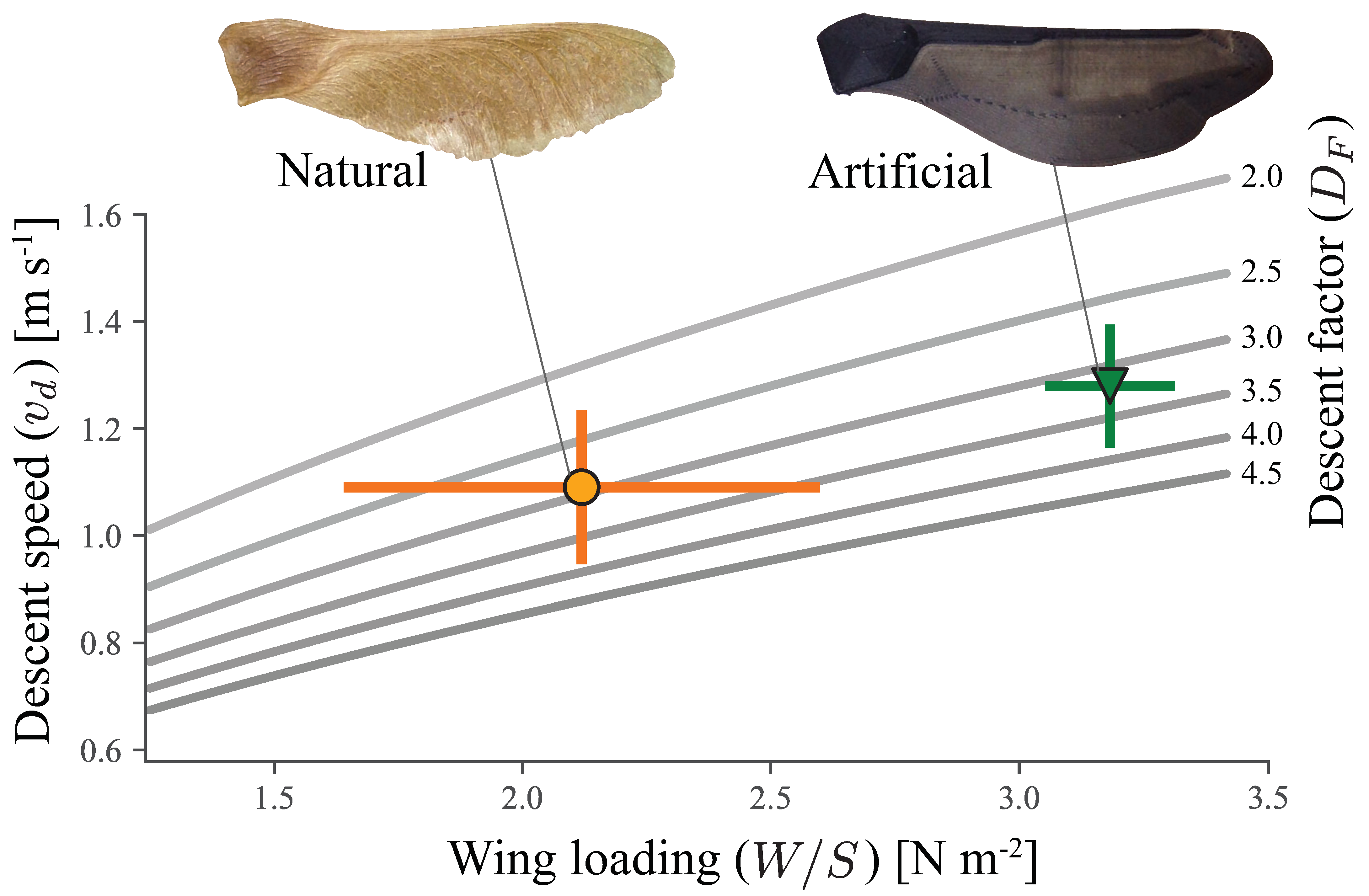 Biomimetics 06 00023 g005