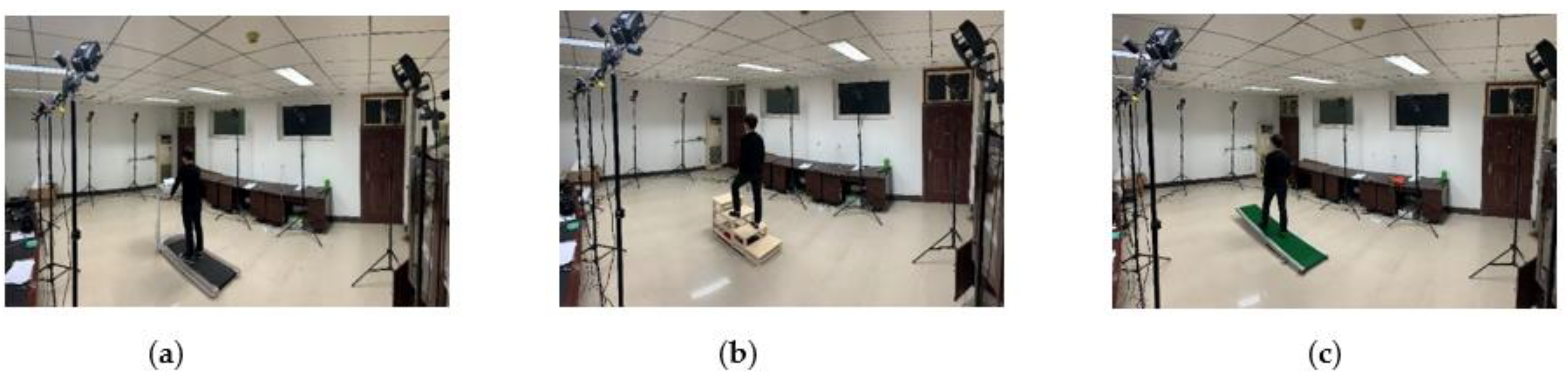 Biomimetics 06 00028 g005