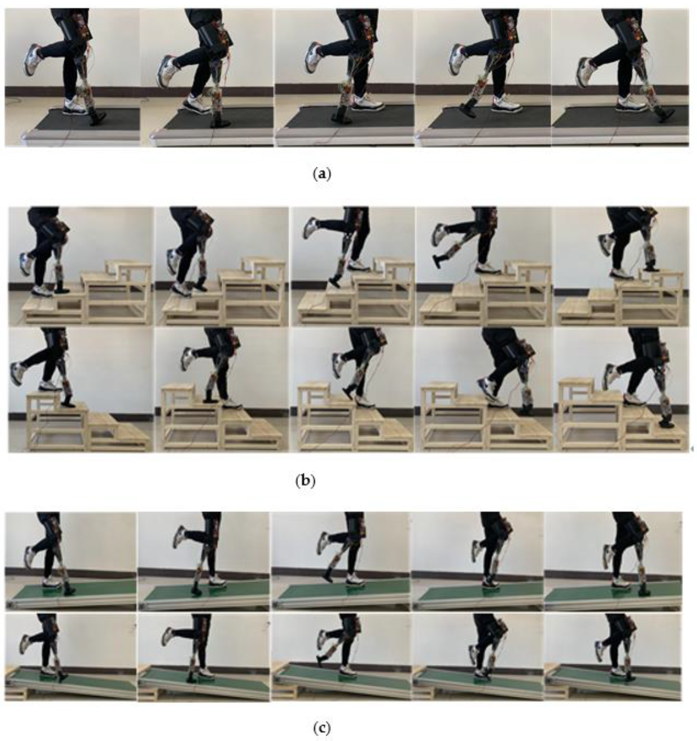 Biomimetics 06 00028 g015