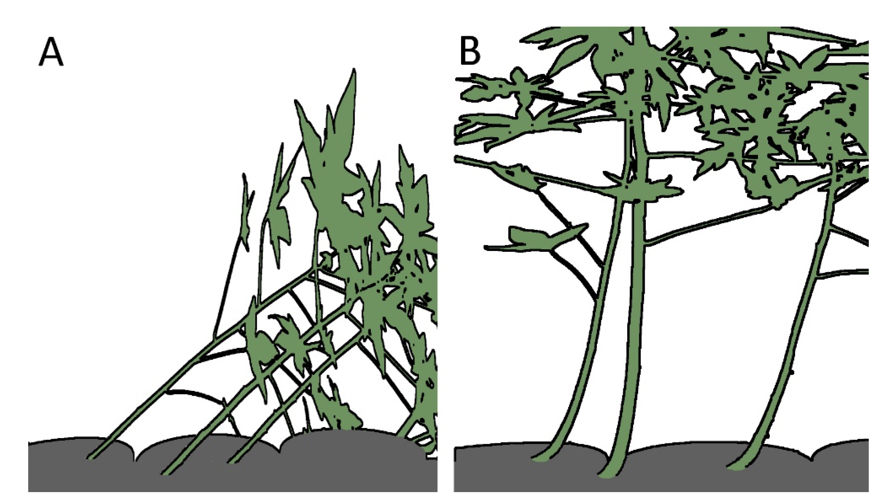 Biomimetics 06 00033 g003