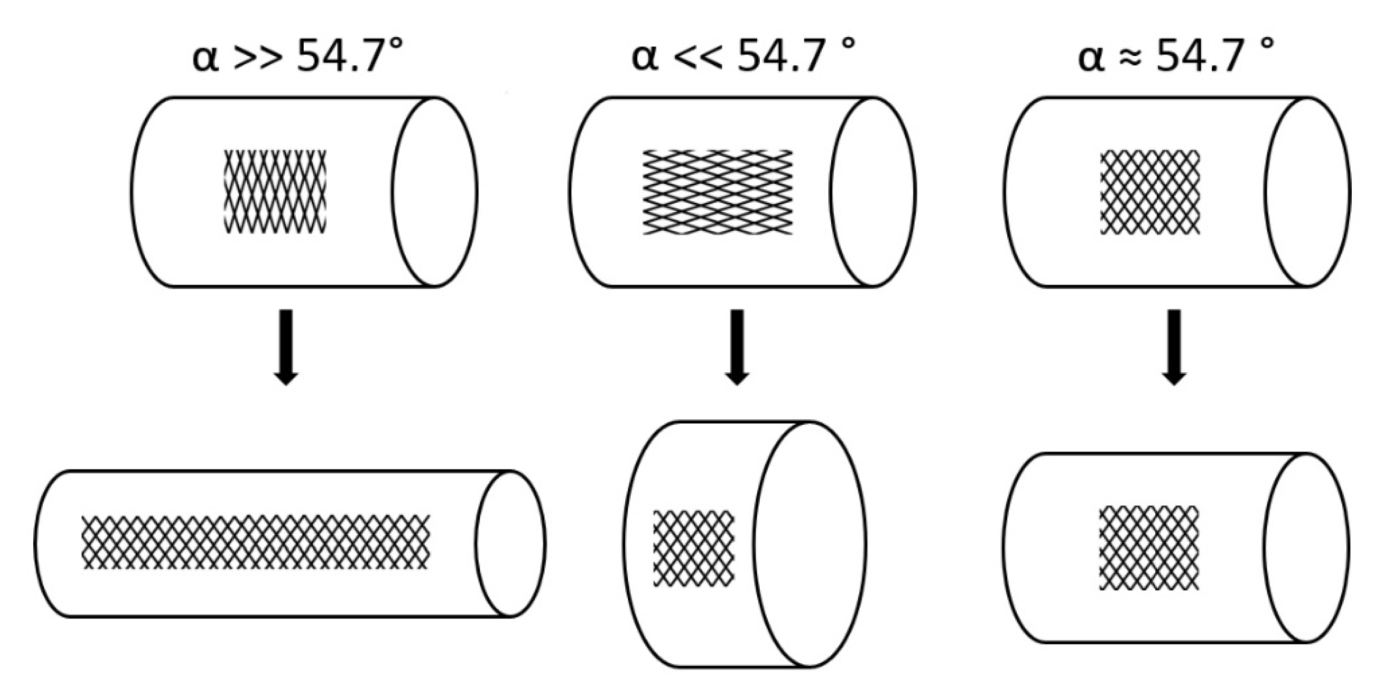 Biomimetics 06 00033 g006