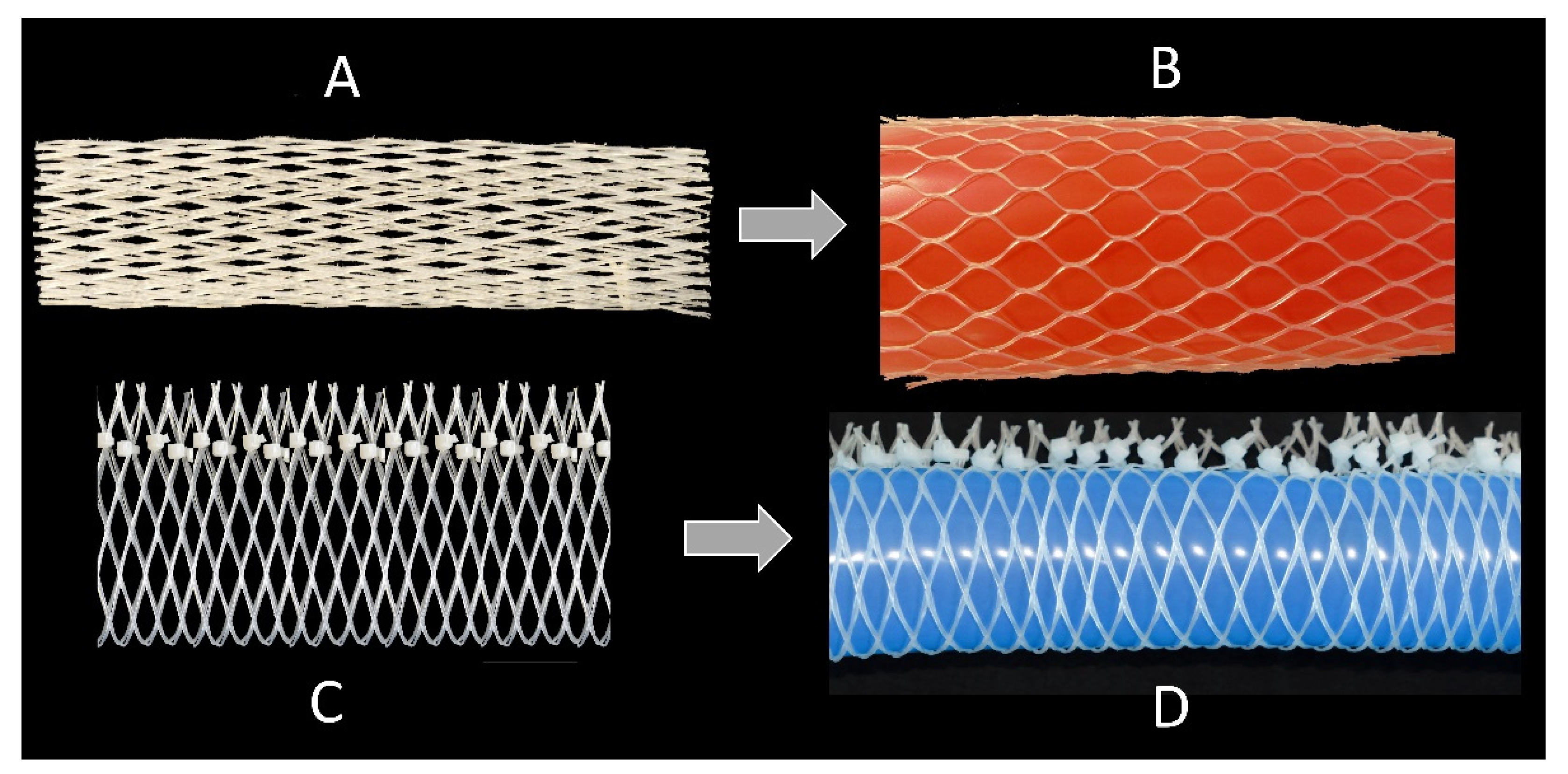 Biomimetics 06 00033 g008