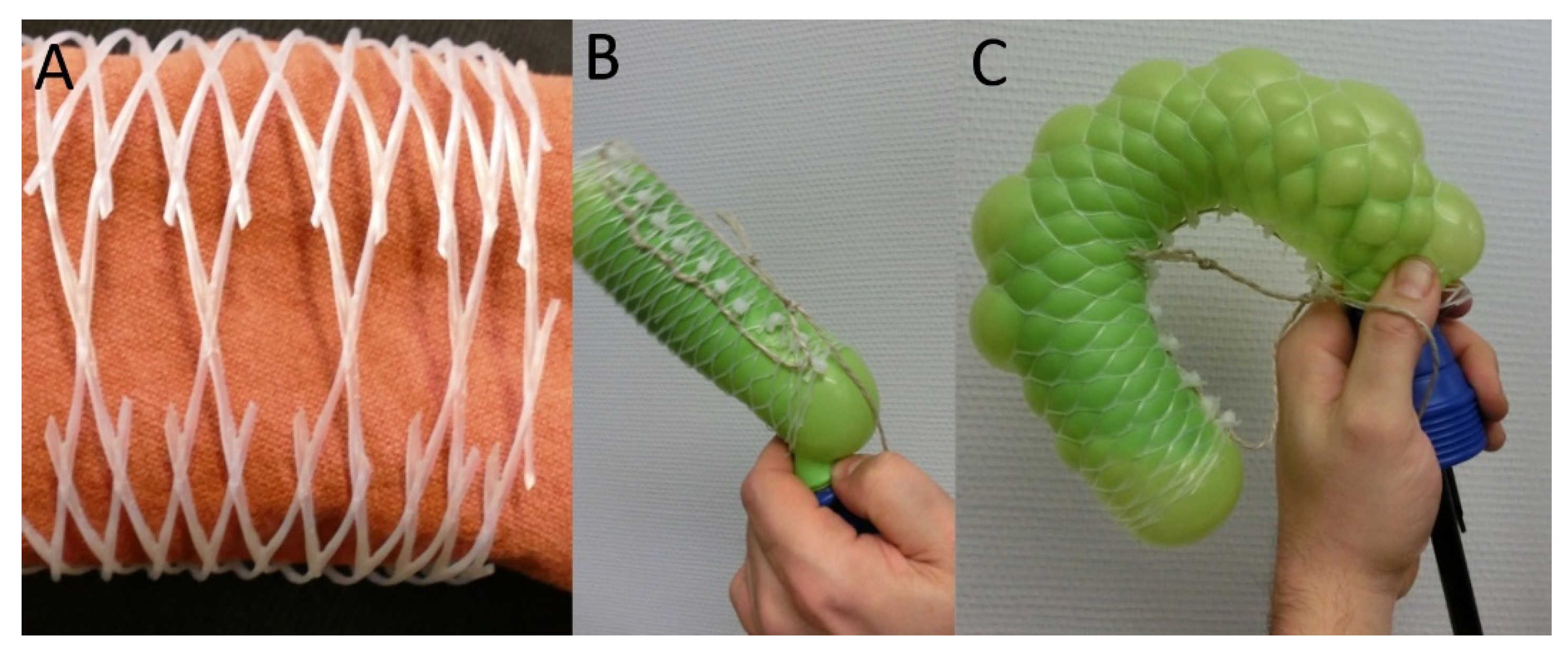 Biomimetics 06 00033 g009