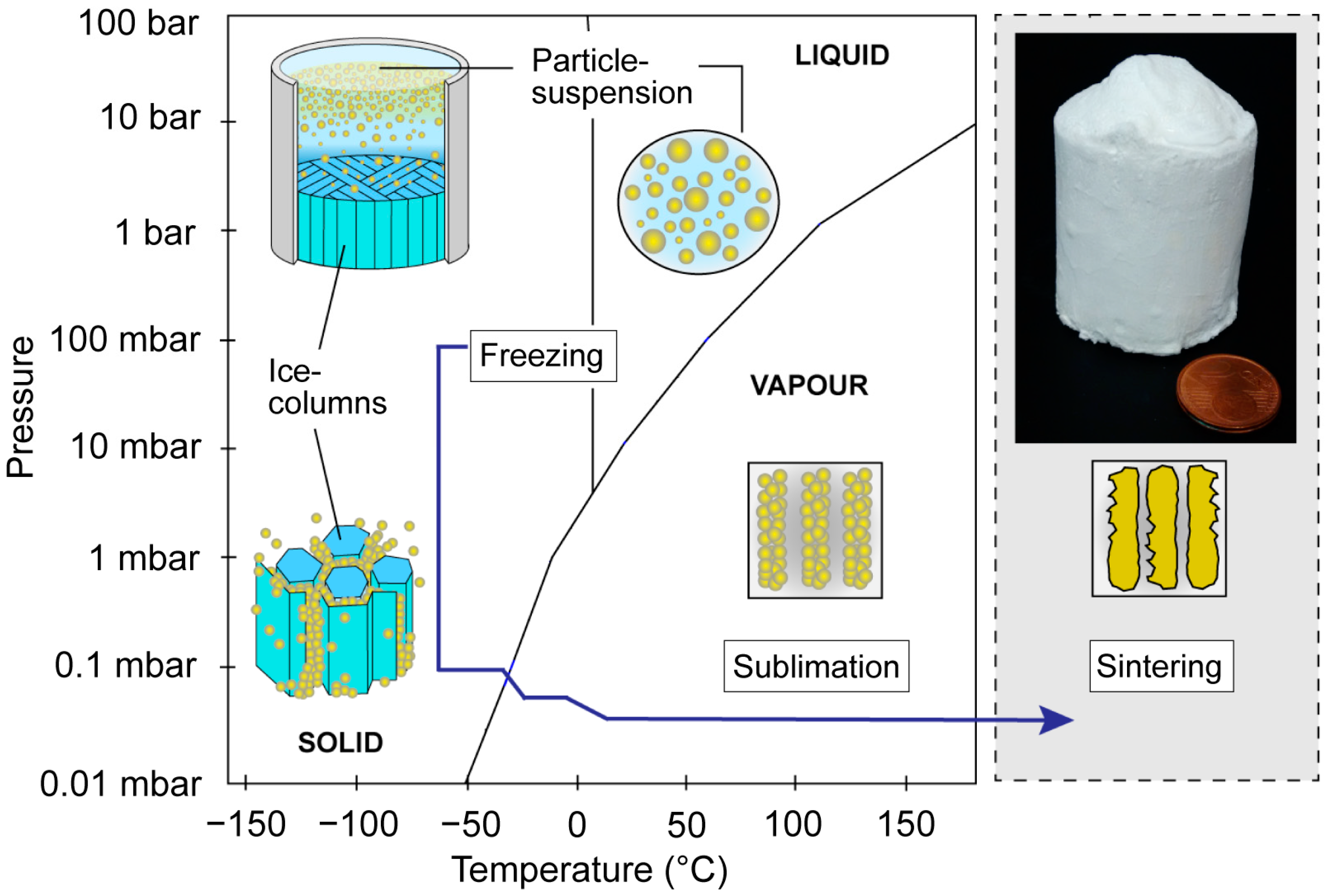 Biomimetics 06 00036 g002