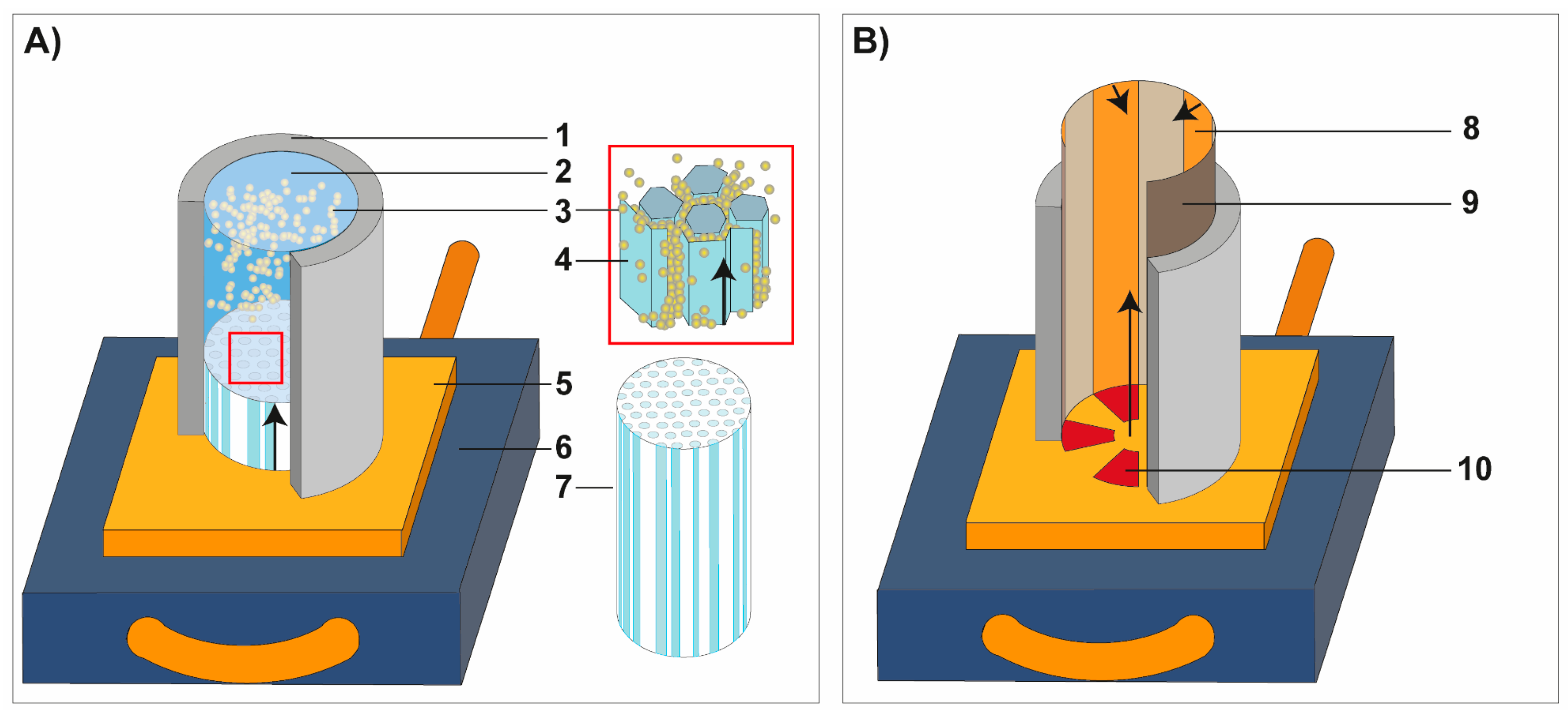 Biomimetics 06 00036 g003