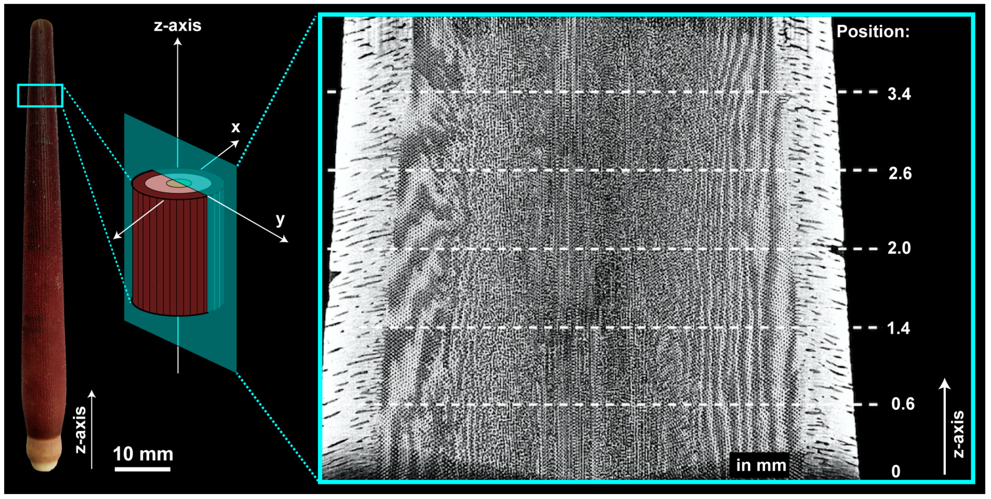Biomimetics 06 00036 g004
