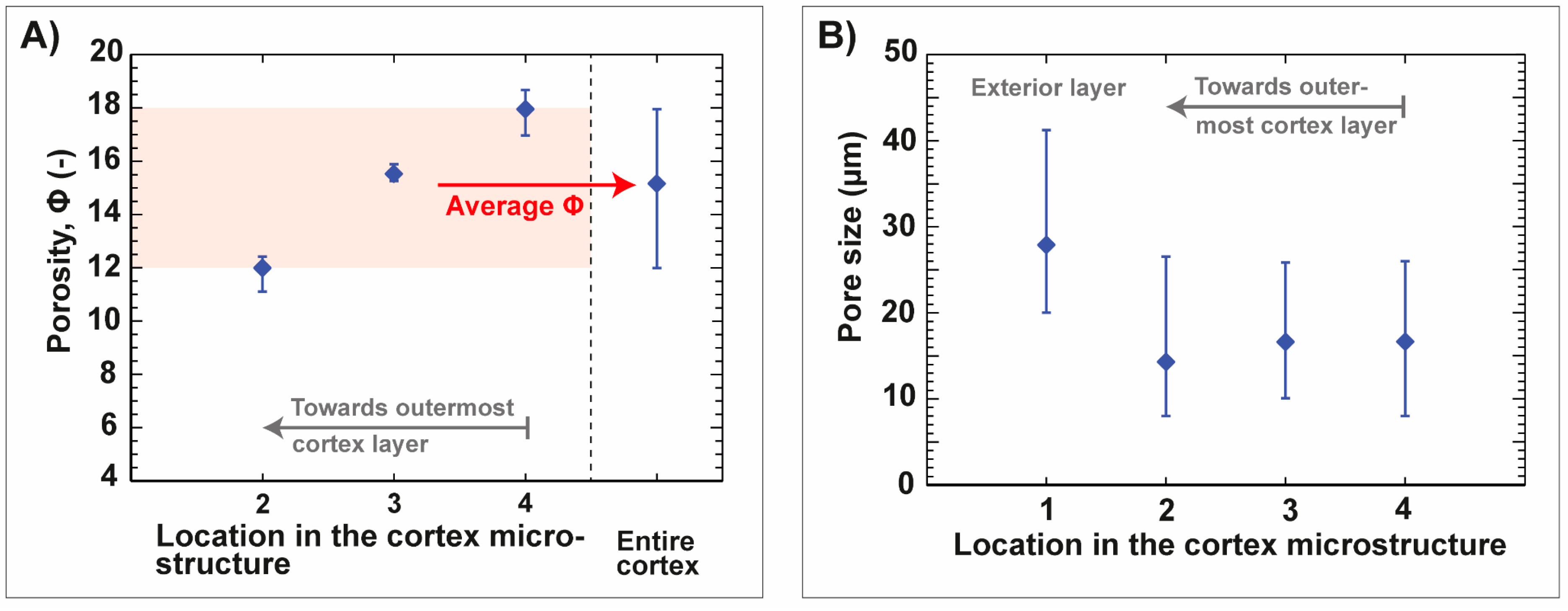 Biomimetics 06 00036 g006