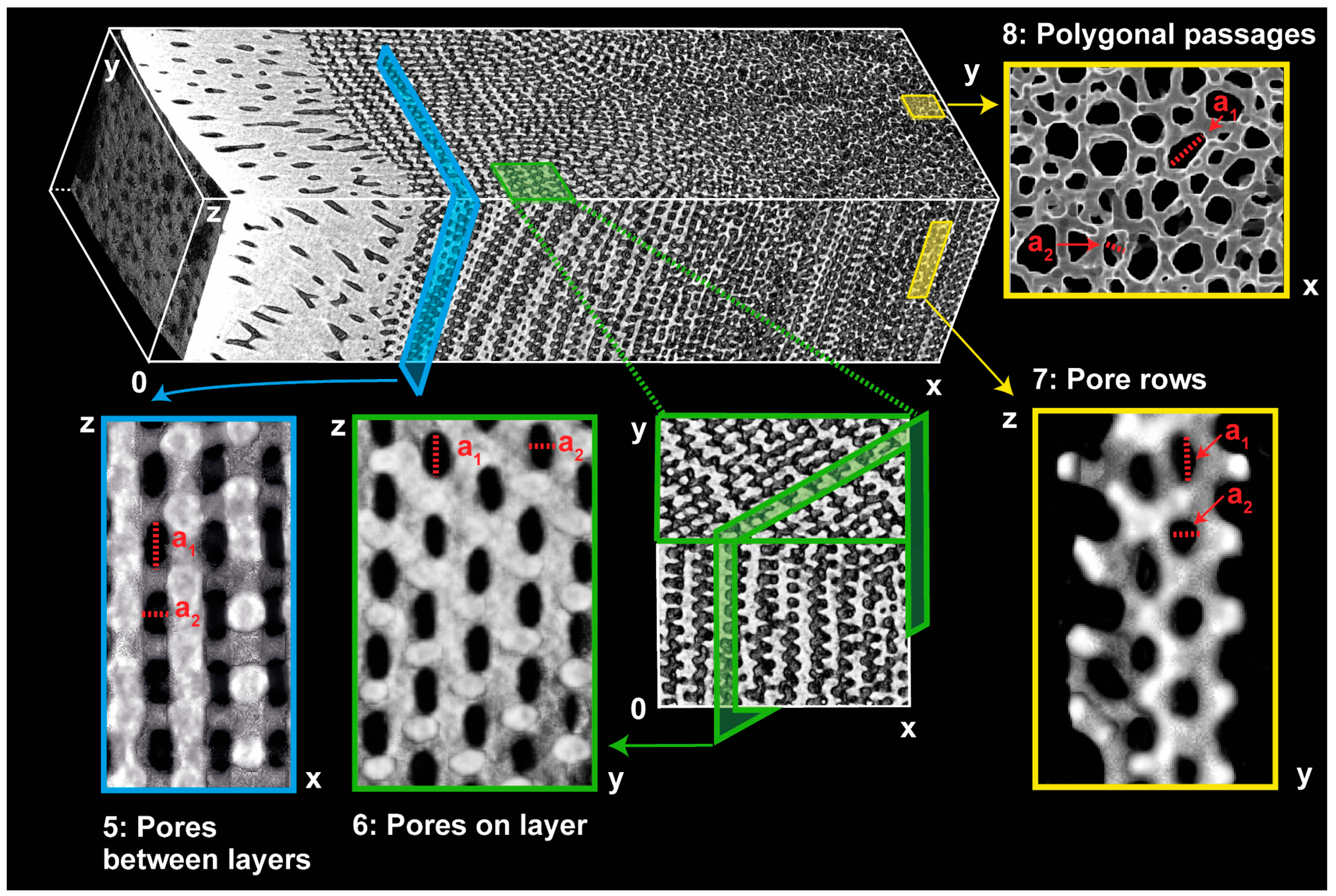 Biomimetics 06 00036 g007