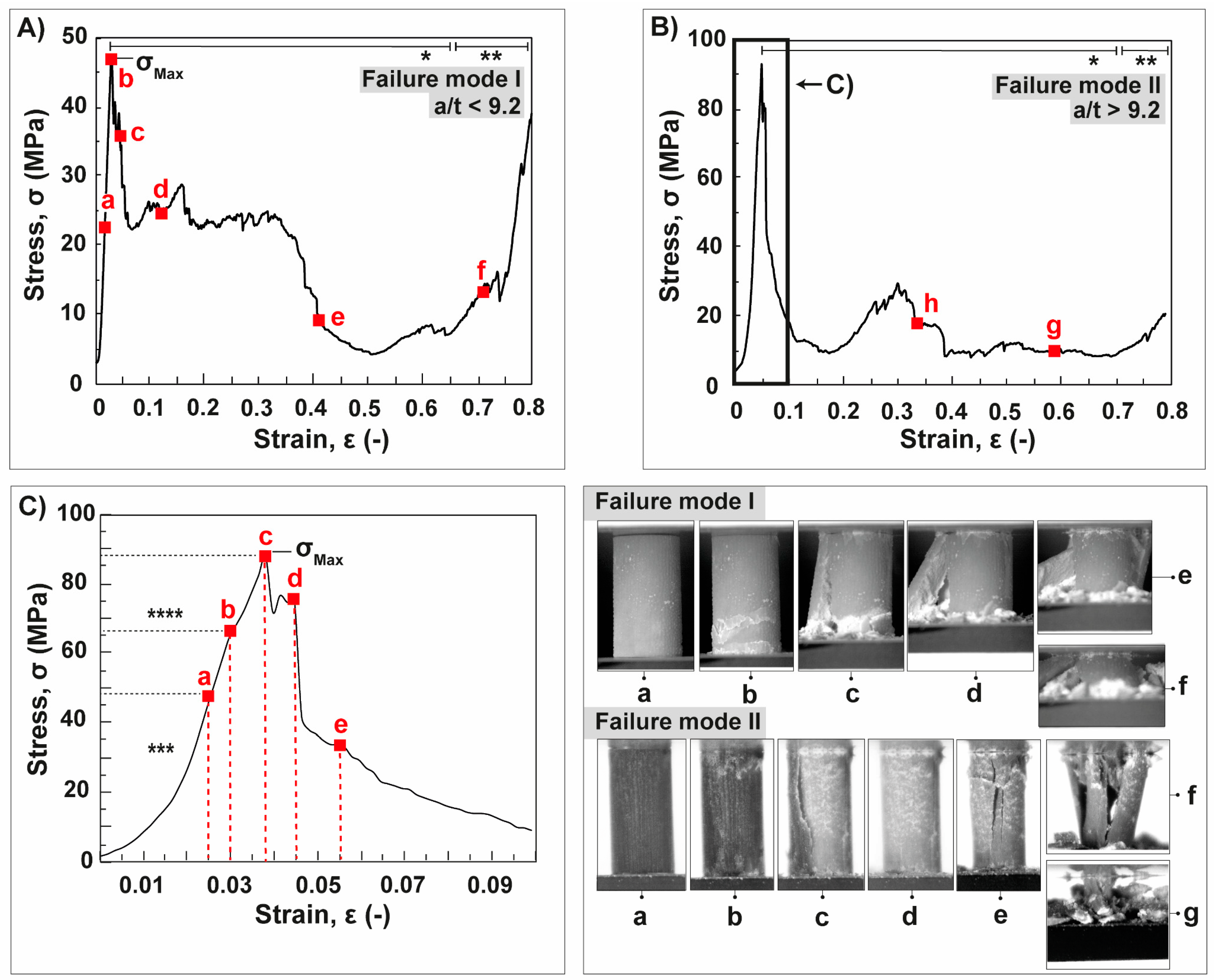 Biomimetics 06 00036 g012