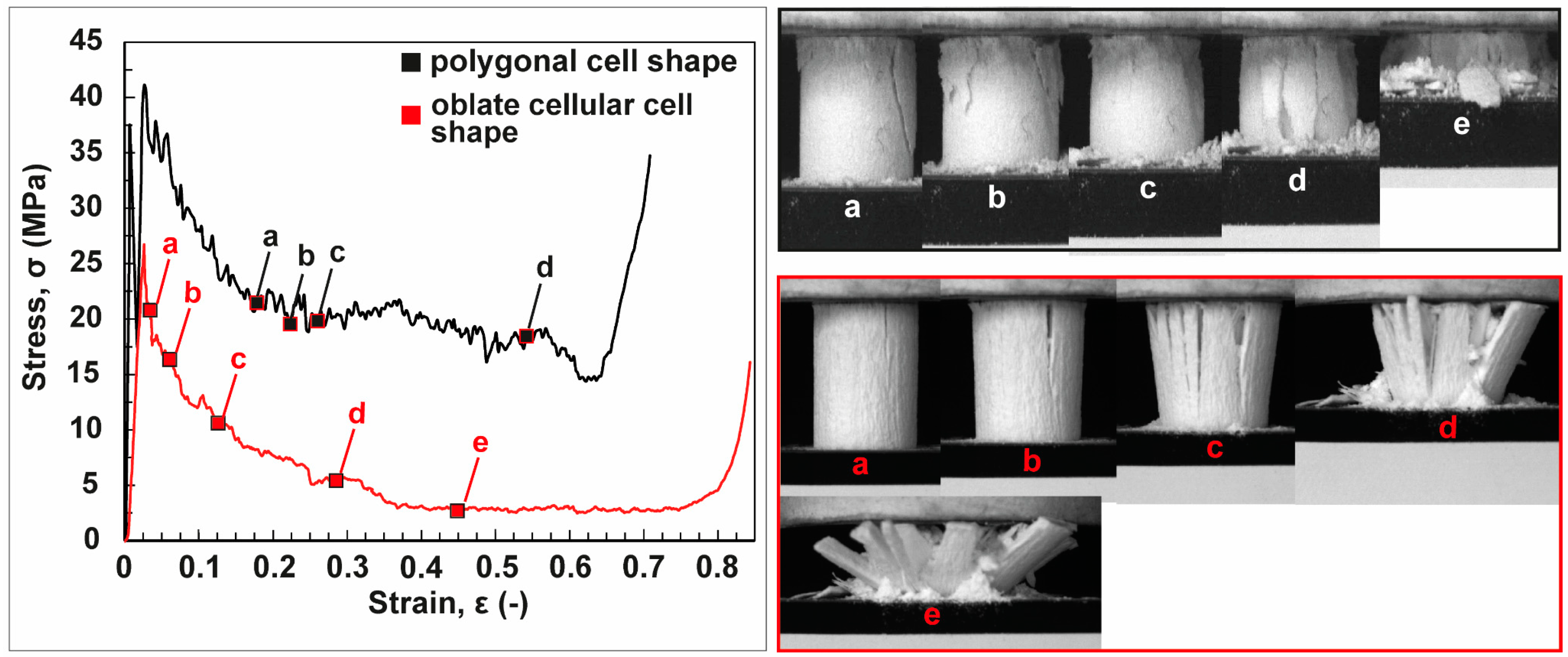 Biomimetics 06 00036 g018