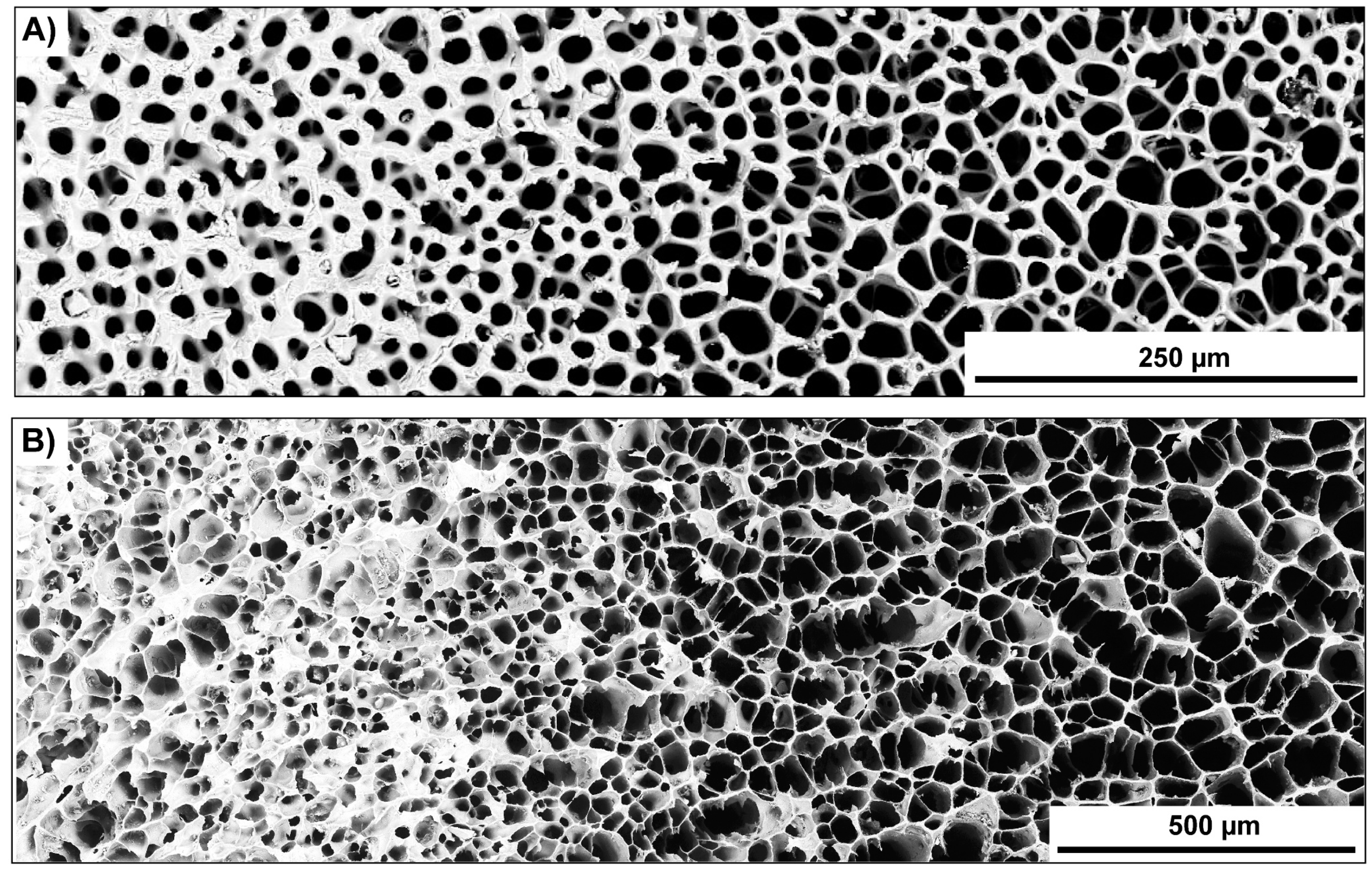Biomimetics 06 00036 g019