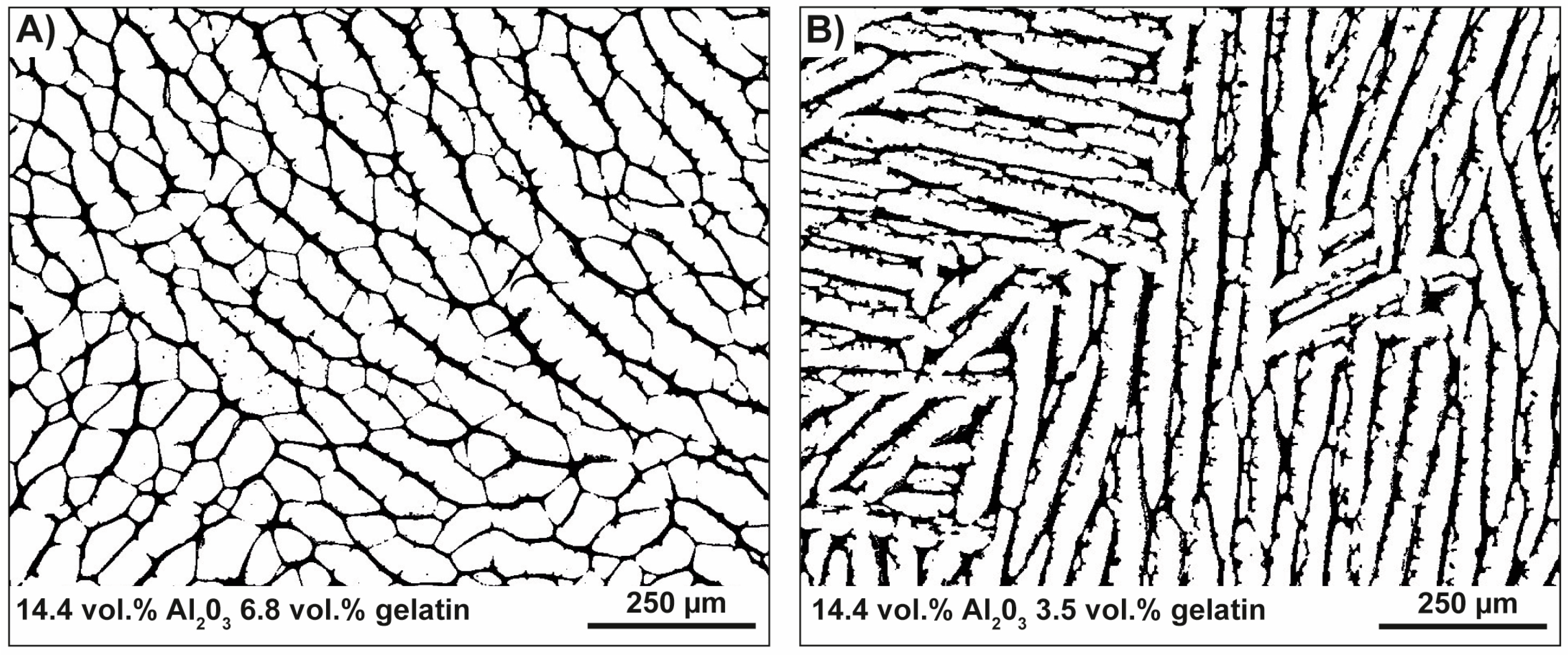 Biomimetics 06 00036 g020