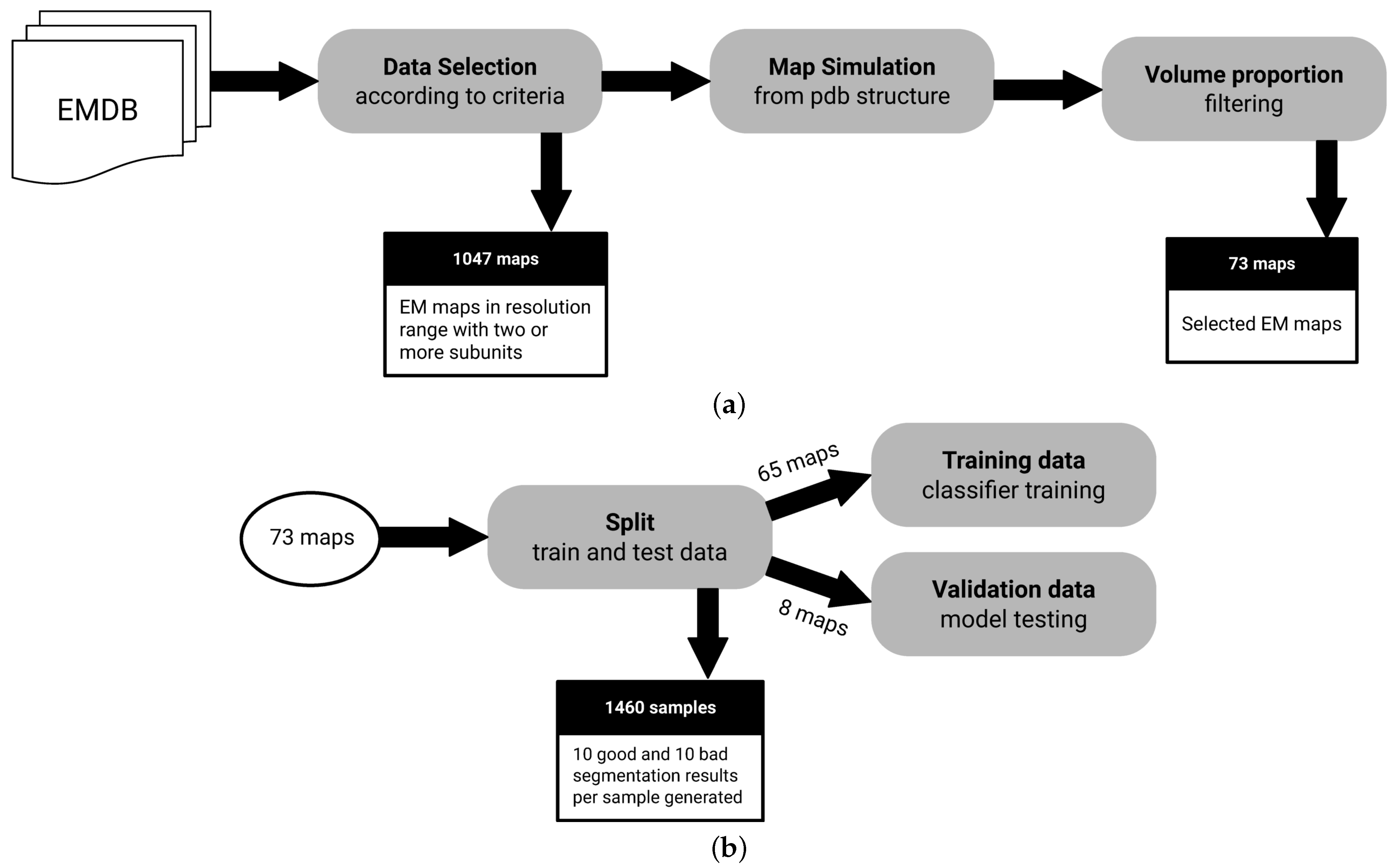 Biomimetics 06 00037 g002 Biomimetics 06 00037 g002