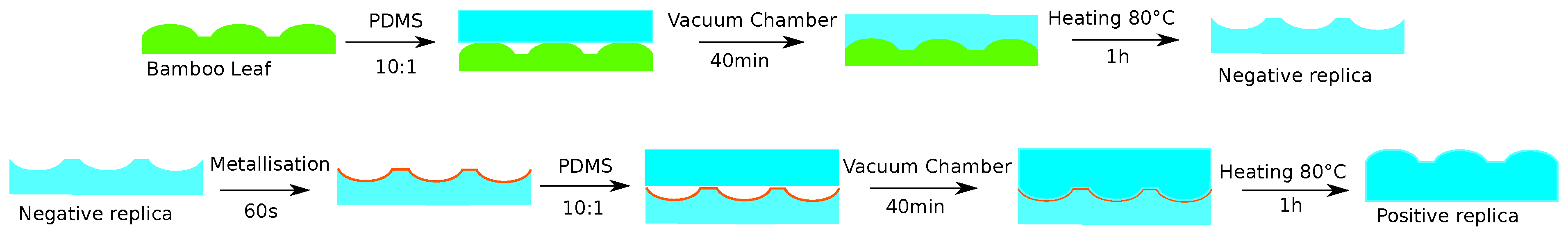 Biomimetics 06 00038 g002