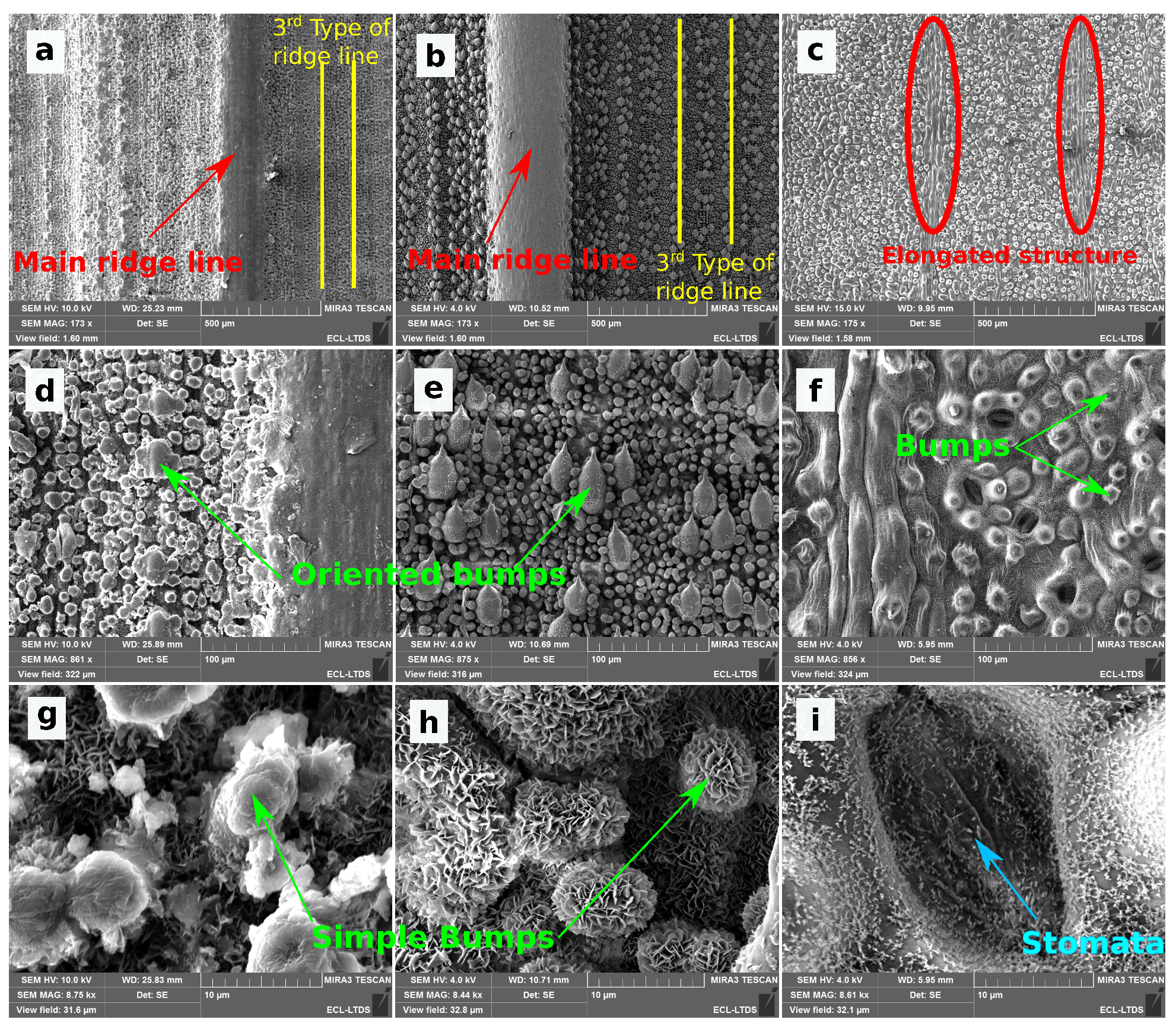 Biomimetics 06 00038 g005