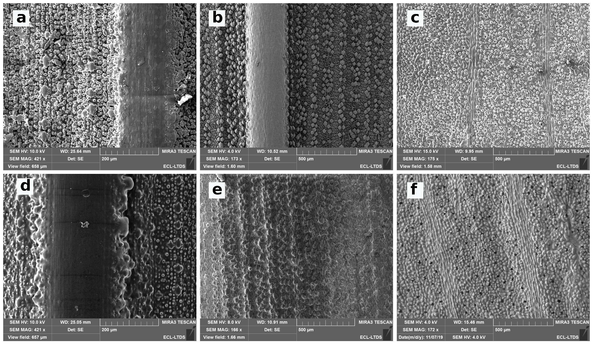 Biomimetics 06 00038 g007