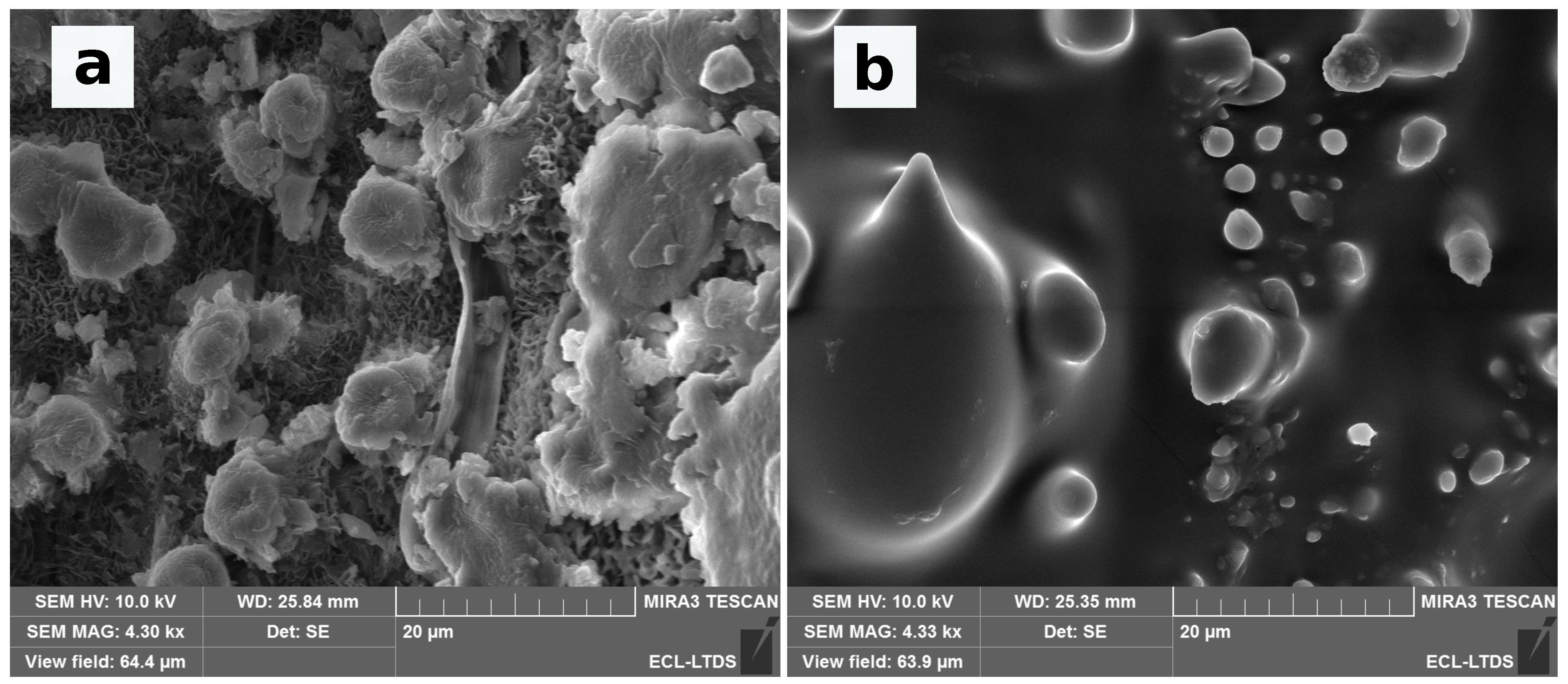 Biomimetics 06 00038 g008
