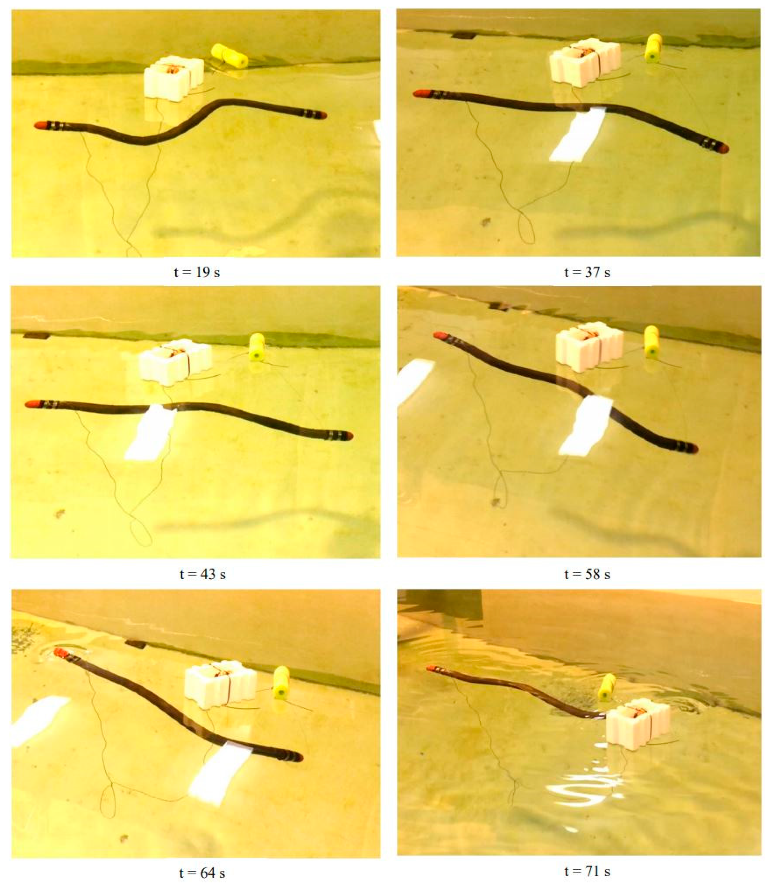 Biomimetics 06 00039 g016 Biomimetics 06 00039 g016