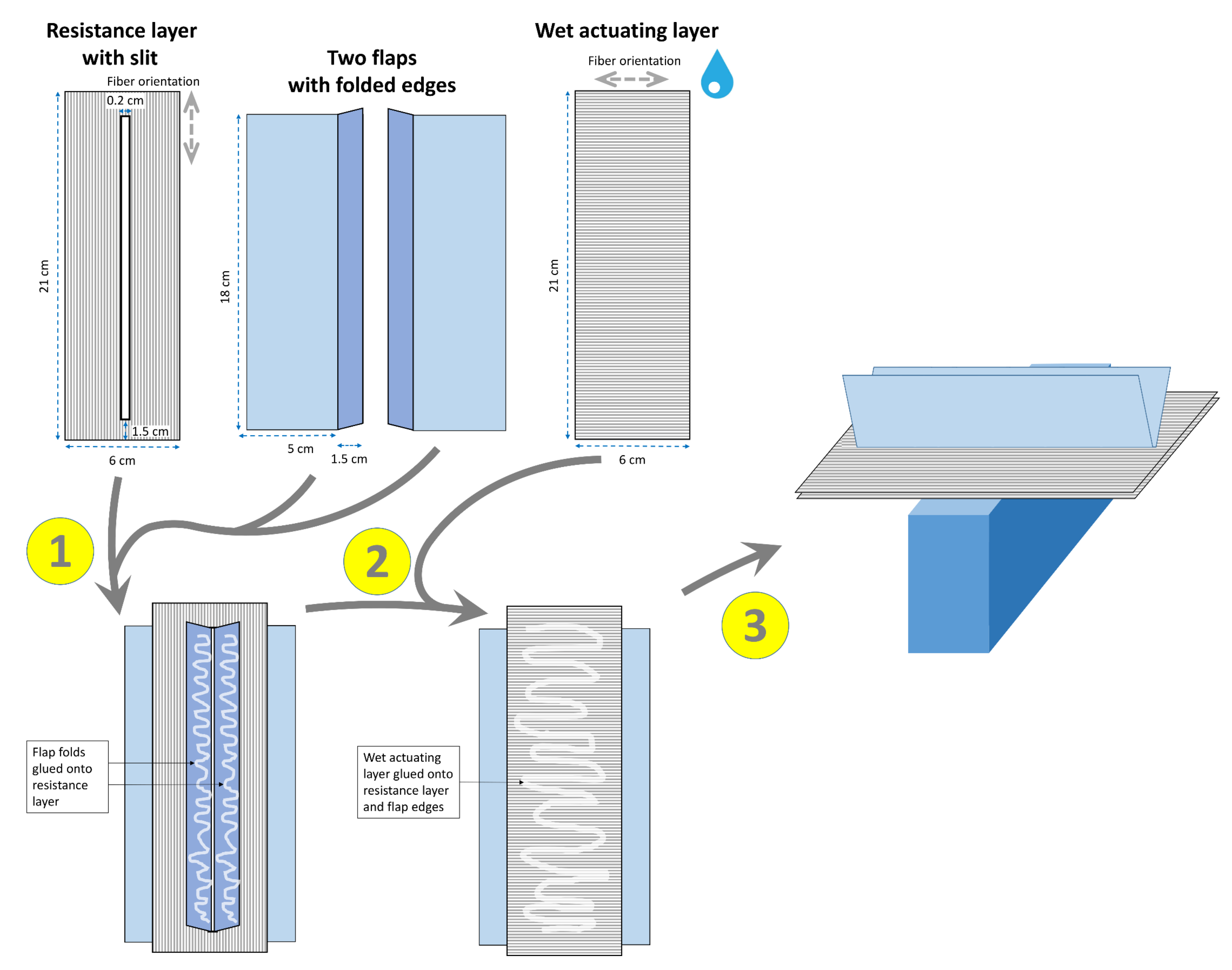 Biomimetics 06 00042 g002