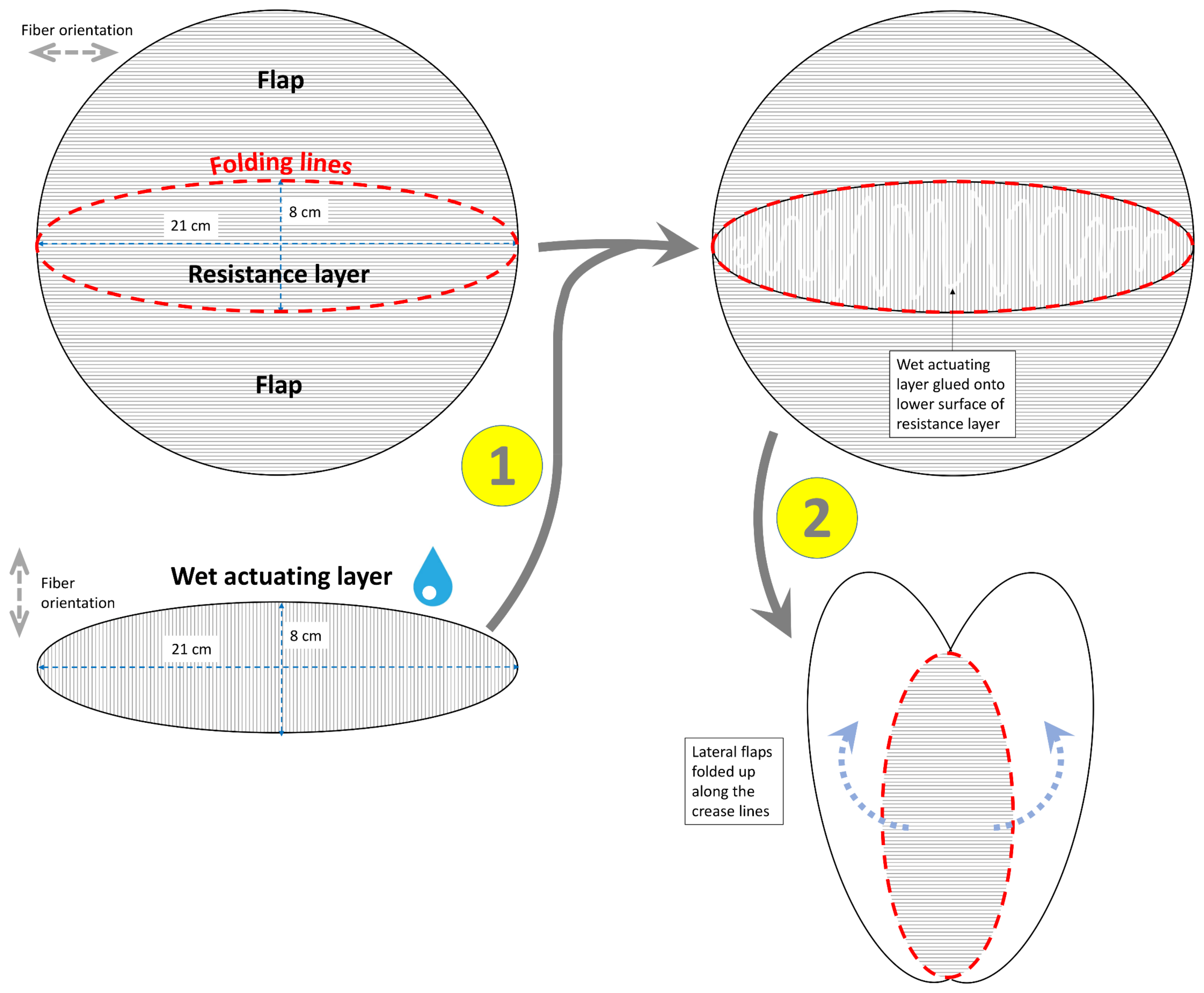 Biomimetics 06 00042 g004