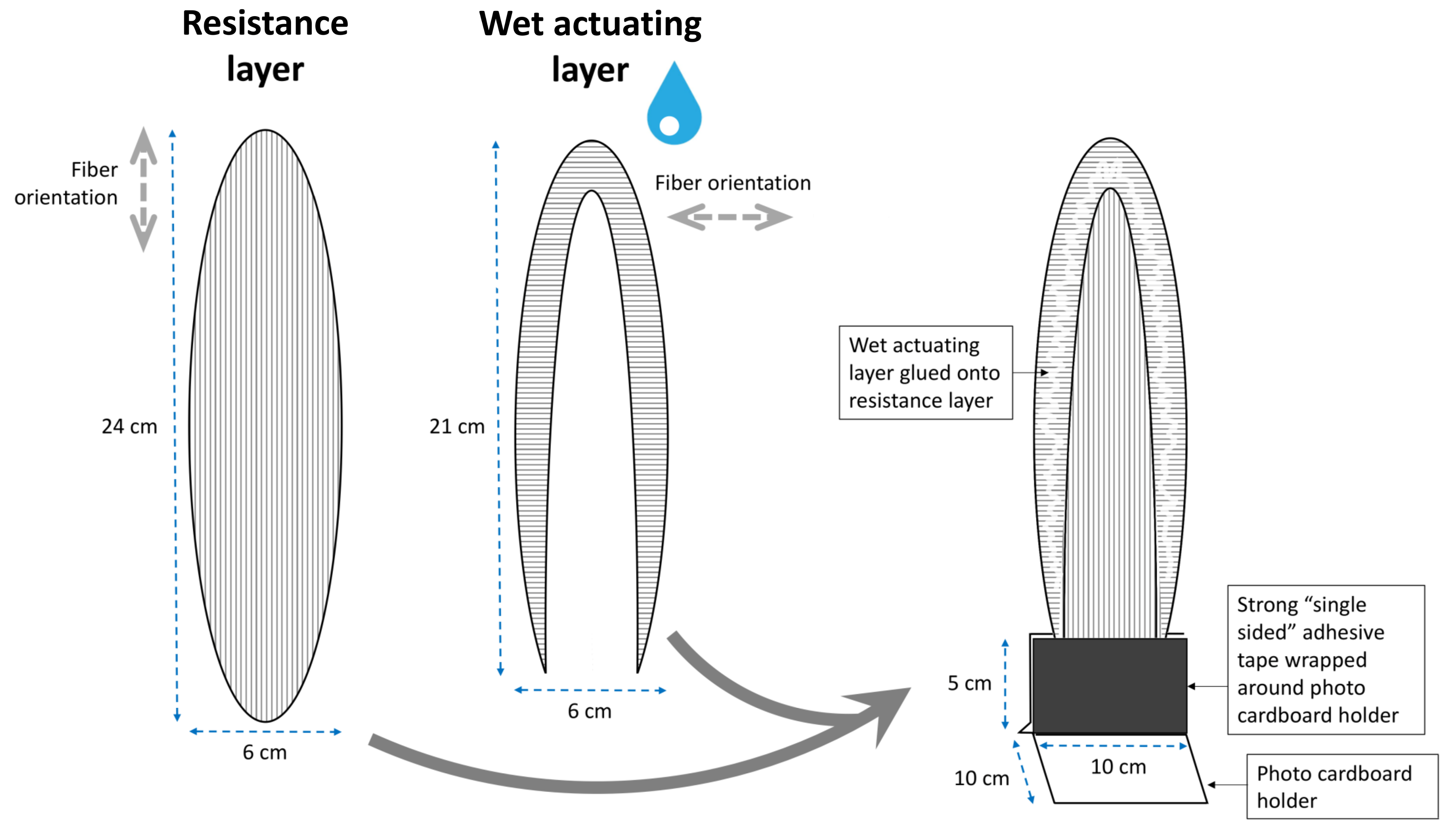 Biomimetics 06 00042 g005