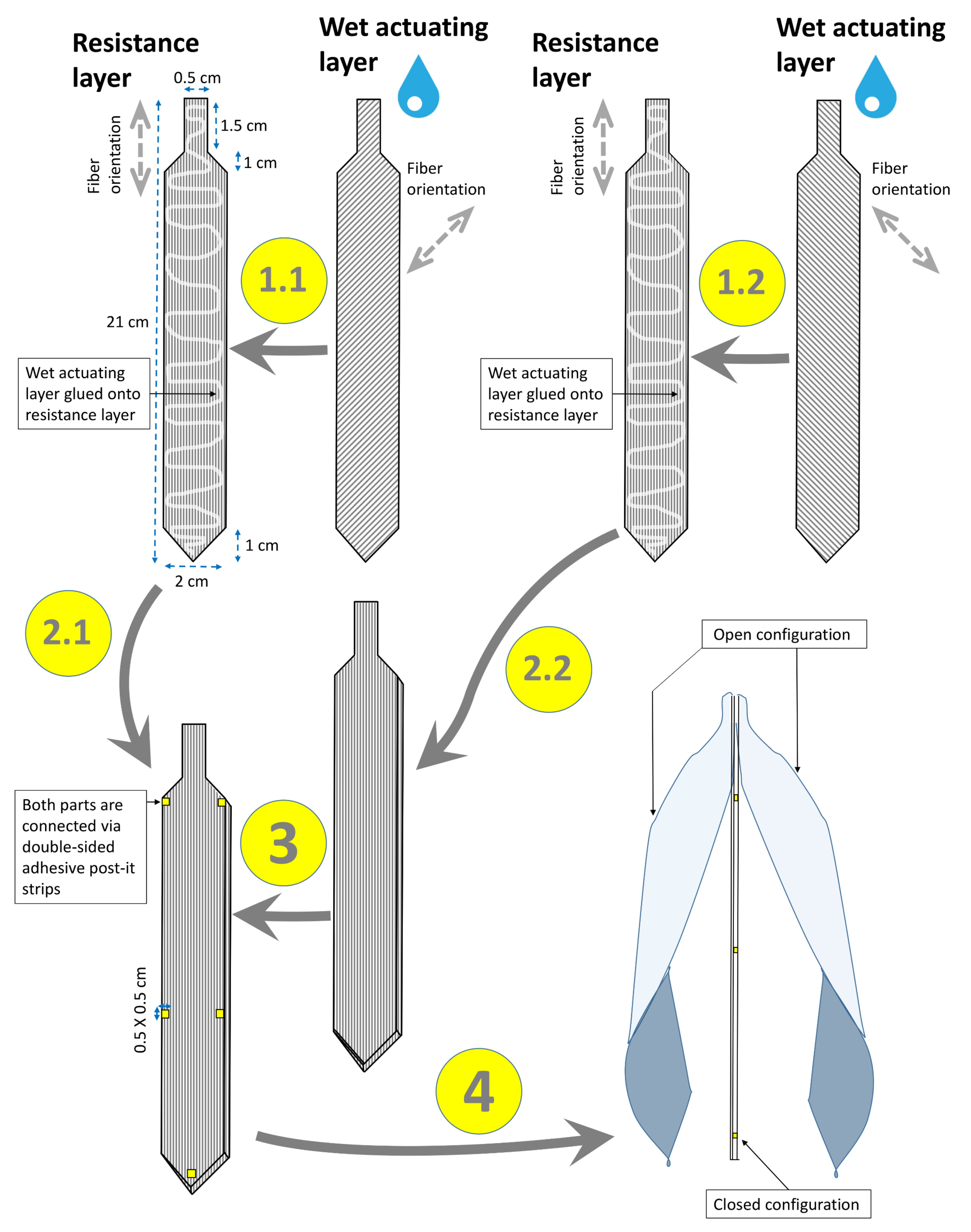 Biomimetics 06 00042 g006