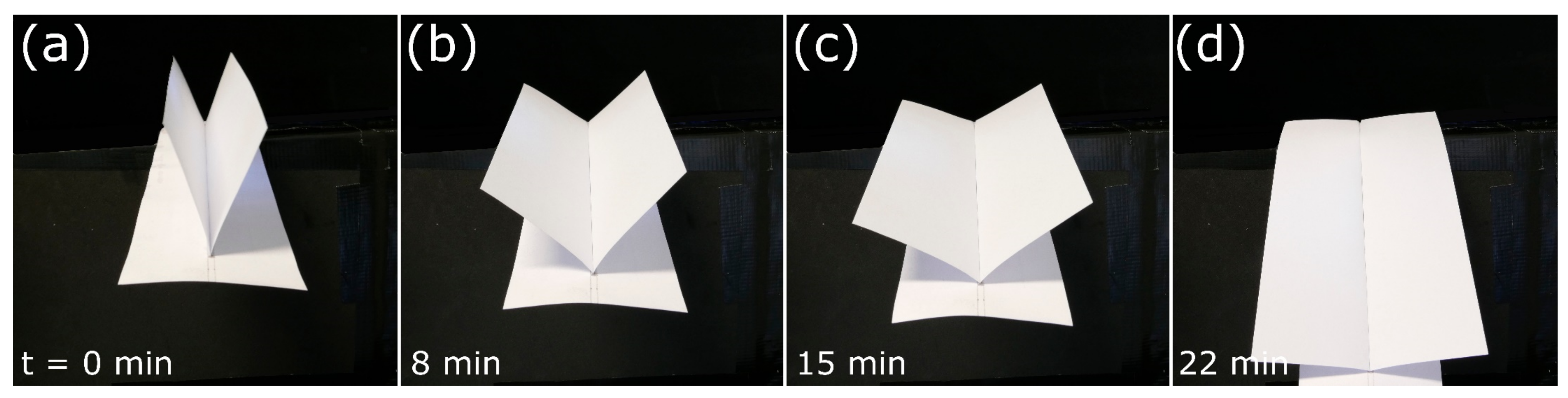 Biomimetics 06 00042 g011
