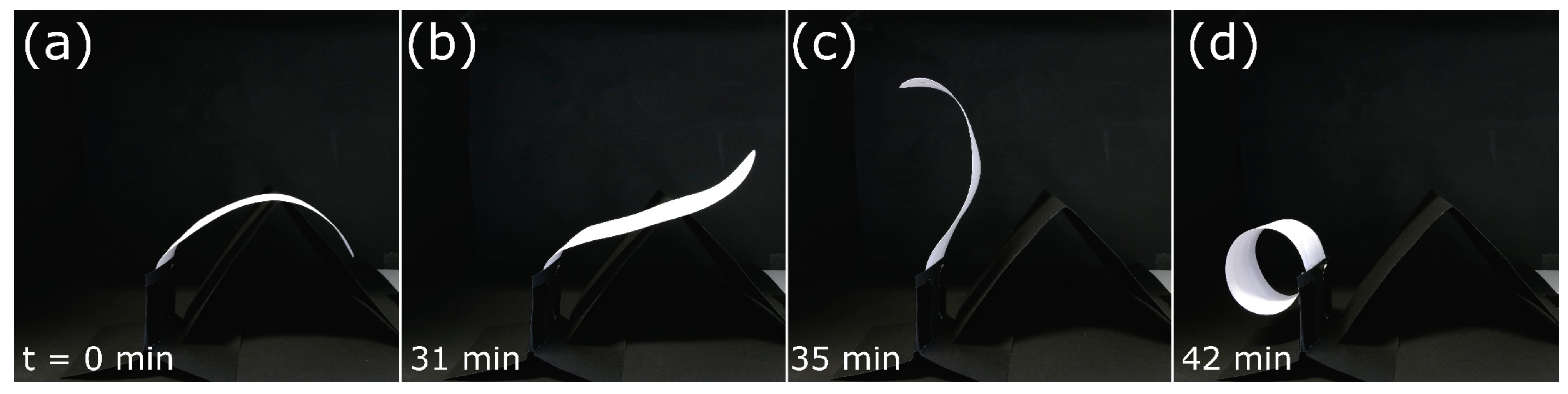 Biomimetics 06 00042 g014