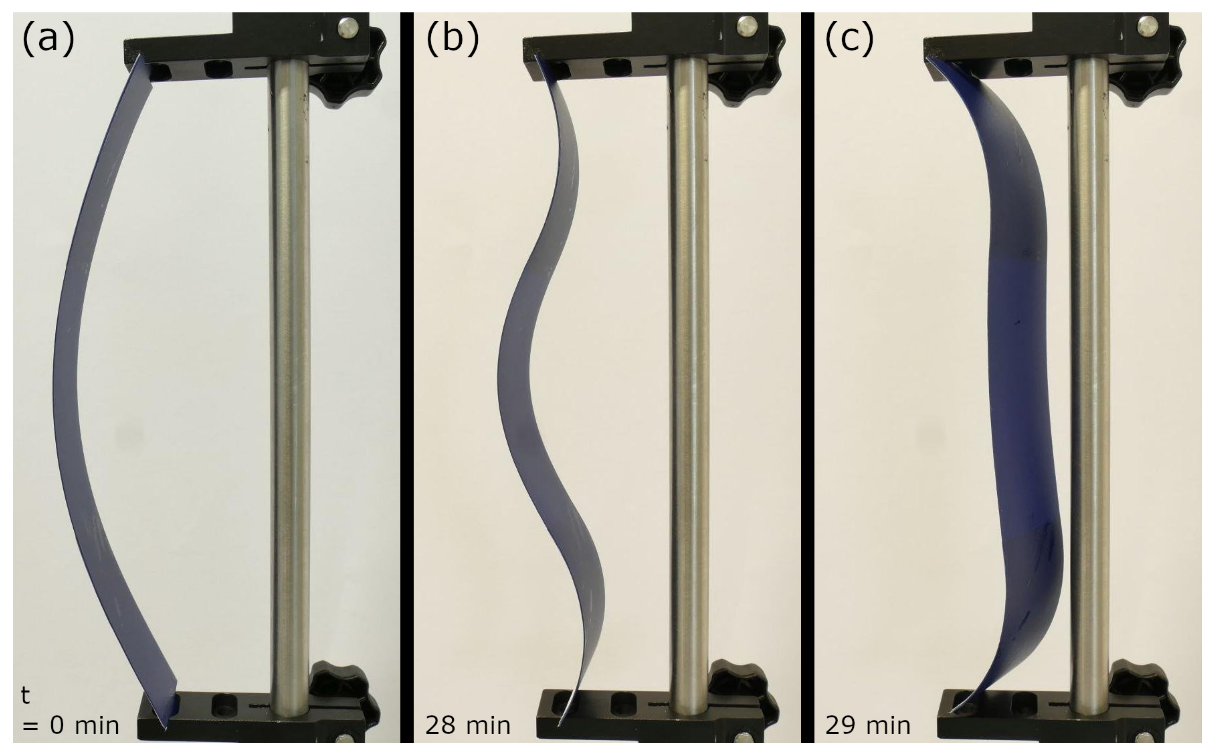 Biomimetics 06 00042 g016