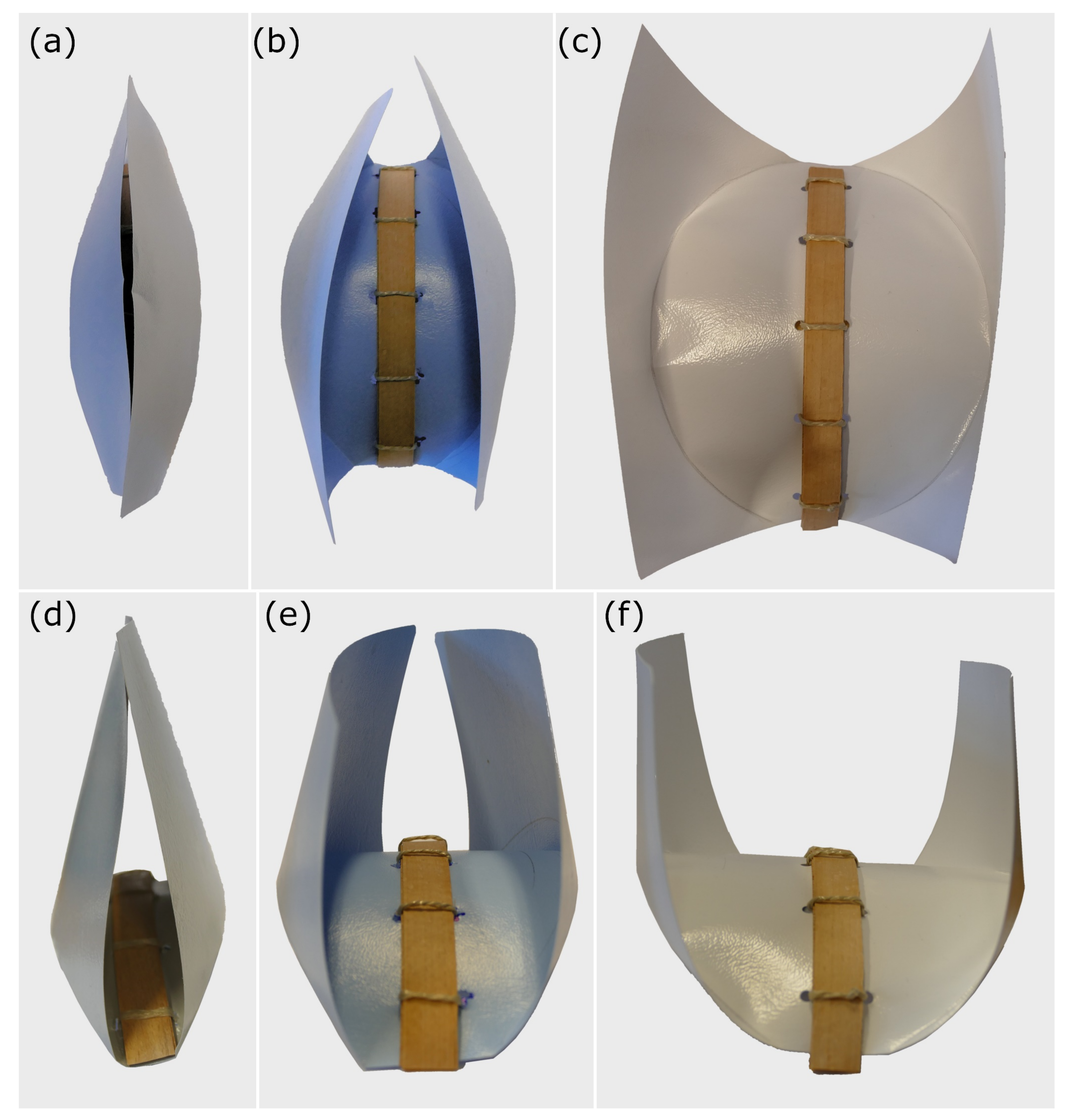 Biomimetics 06 00042 g017