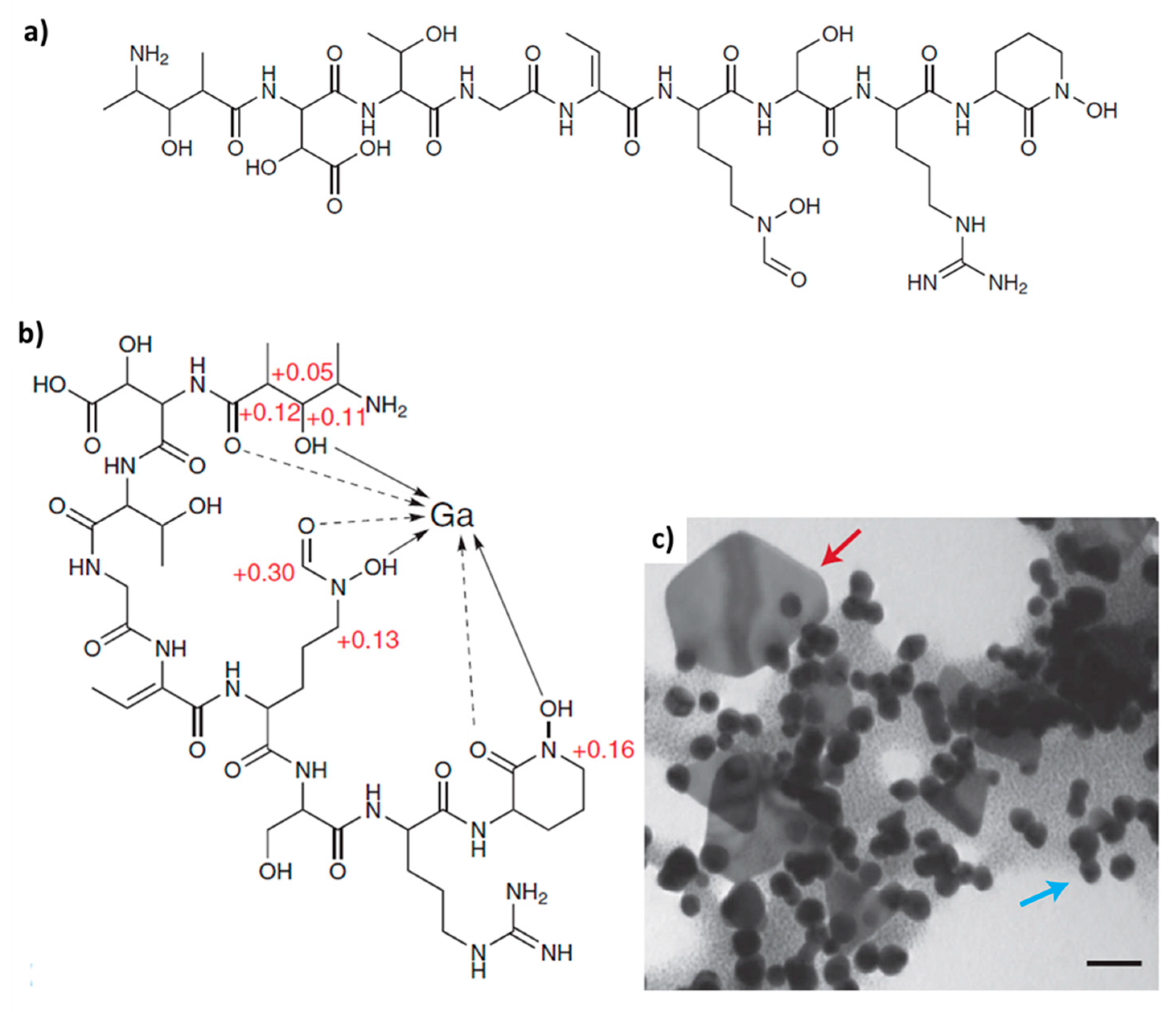 Biomimetics 06 00046 g002 Biomimetics 06 00046 g002