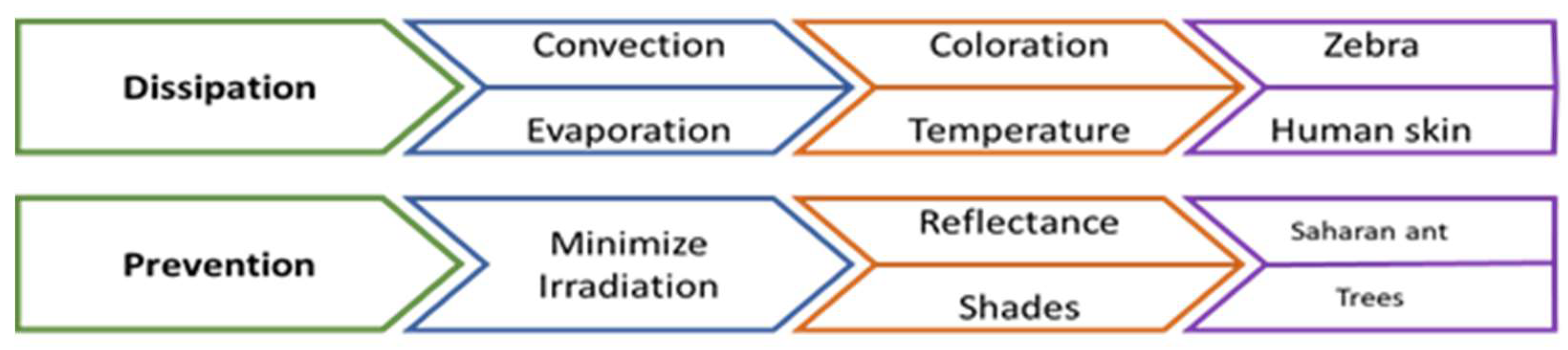 Biomimetics 06 00048 g005