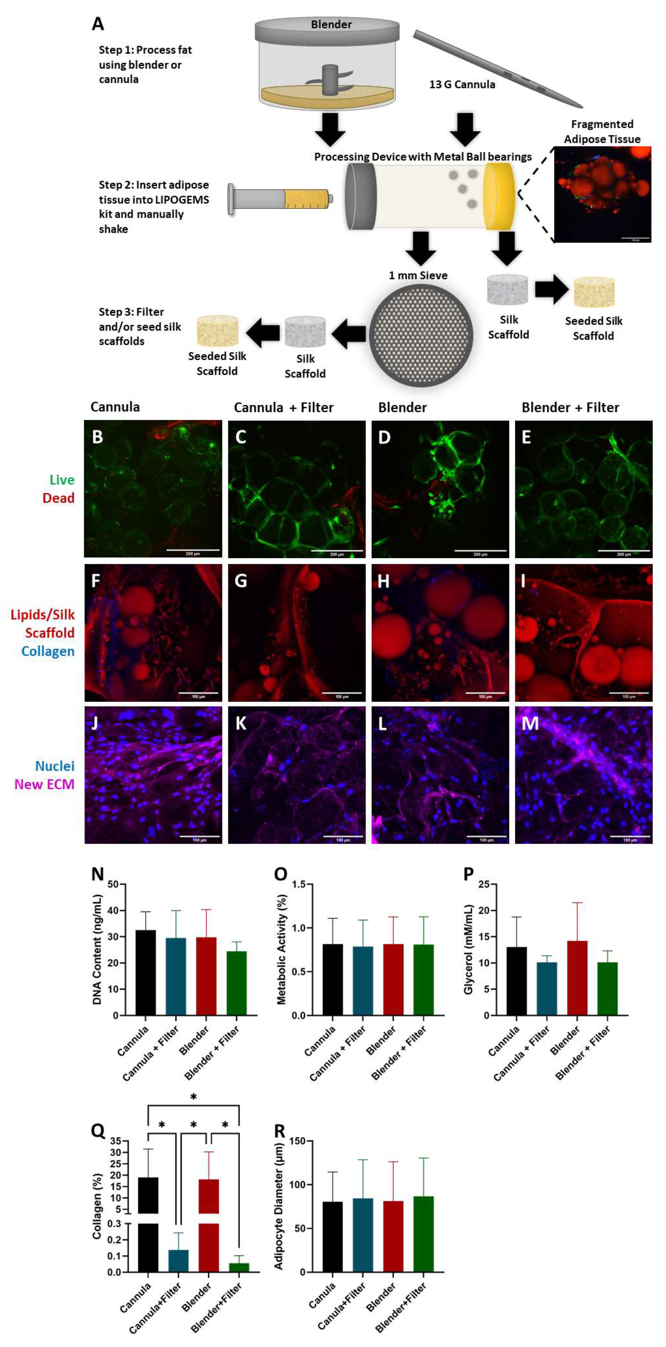 Biomimetics 06 00052 g001