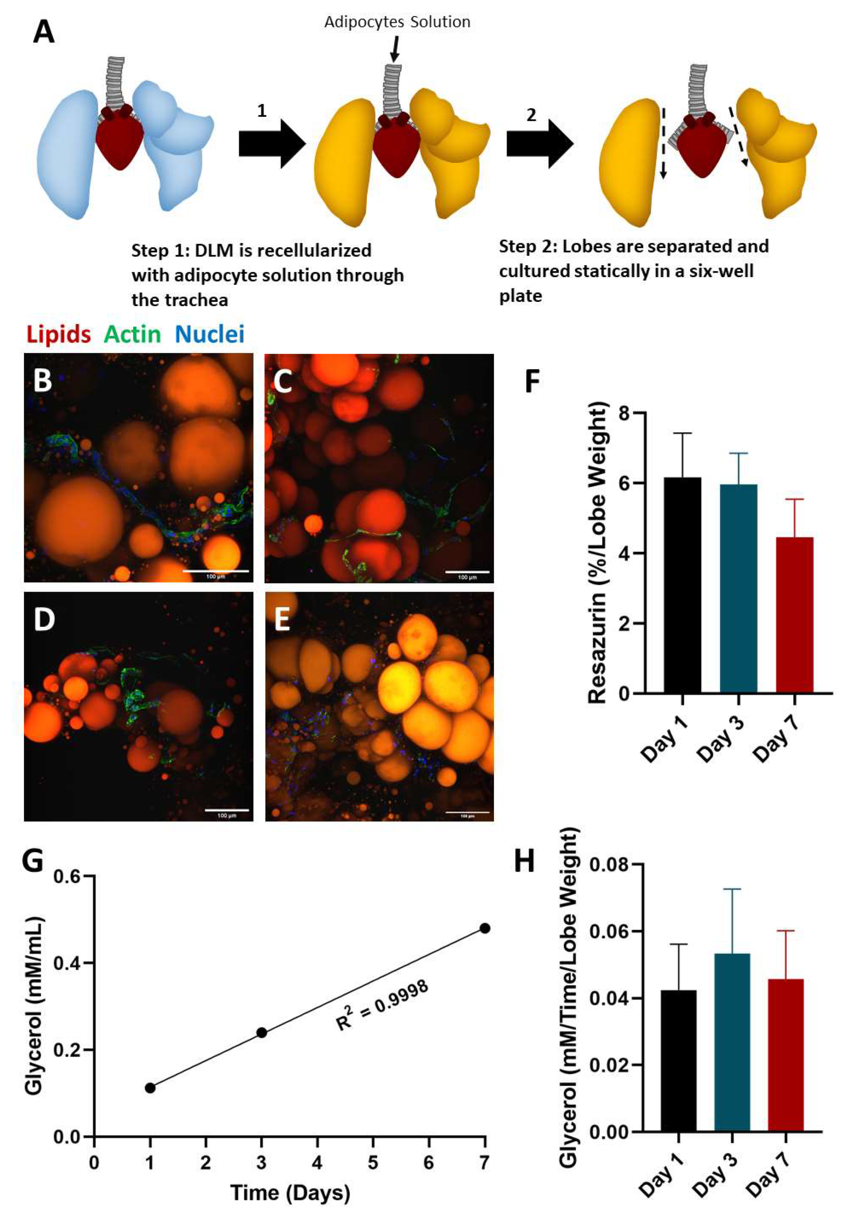 Biomimetics 06 00052 g002