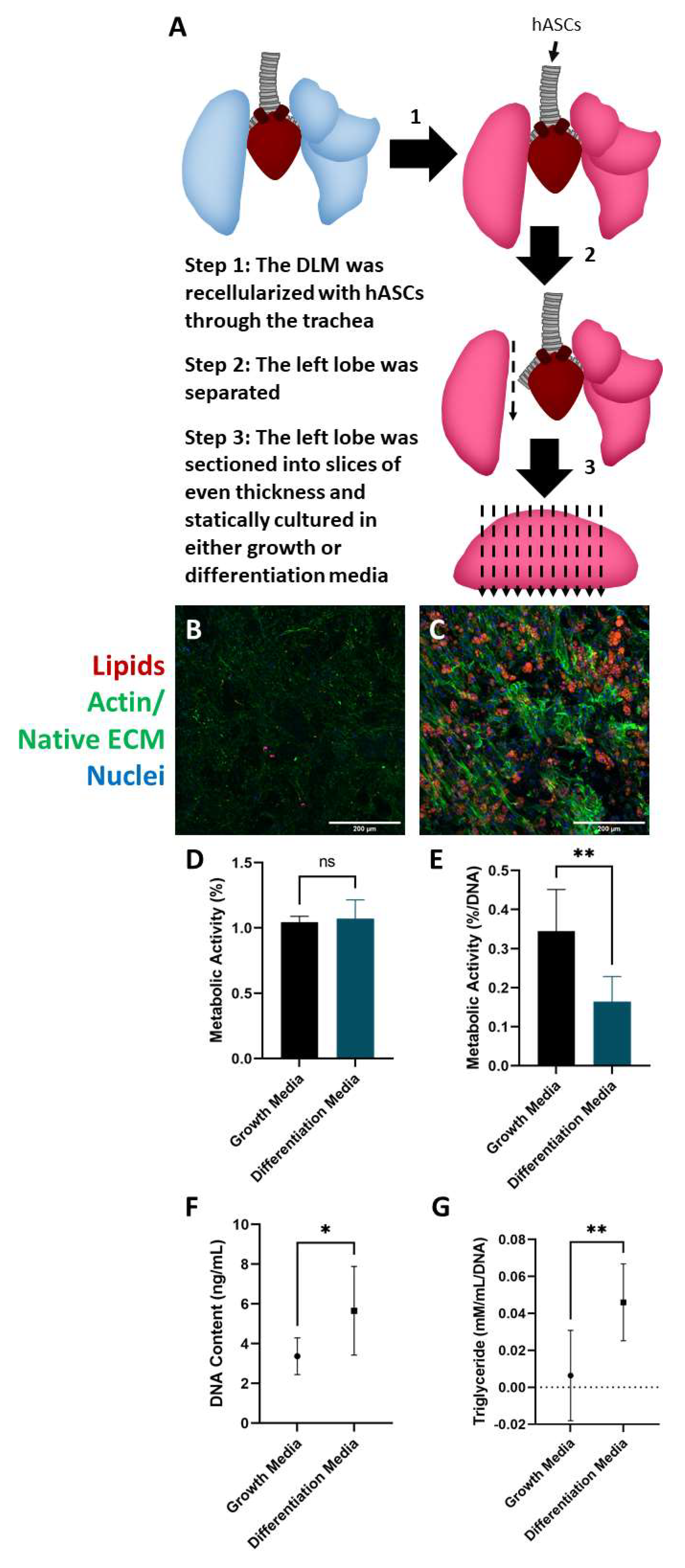 Biomimetics 06 00052 g003