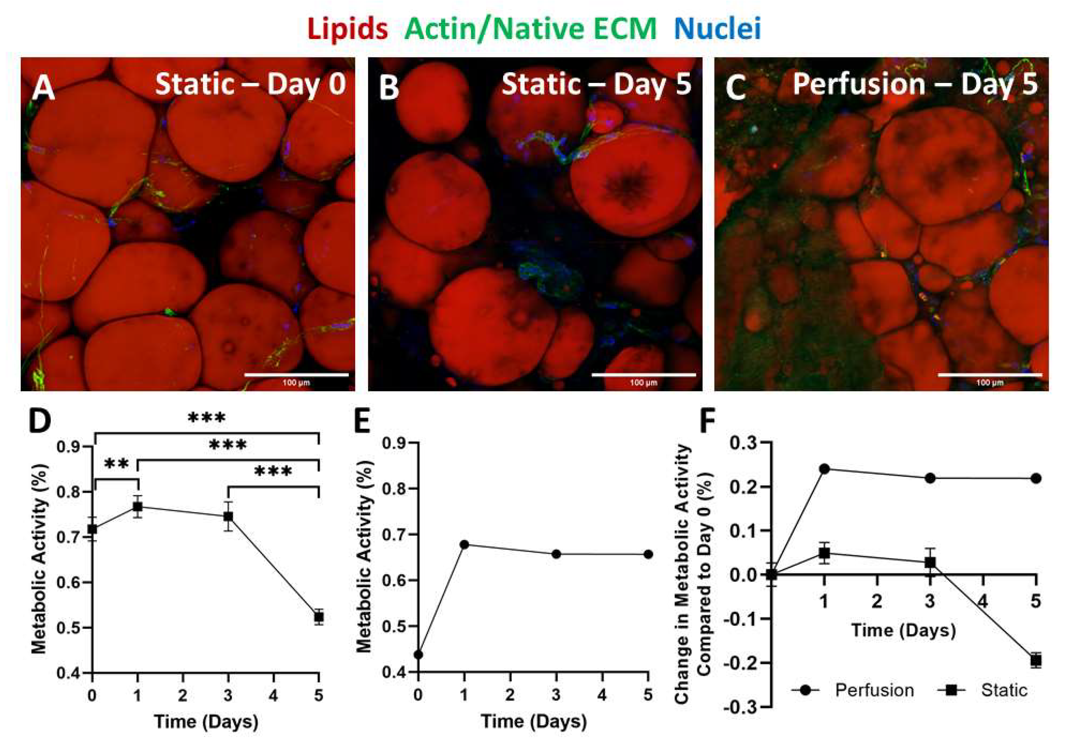 Biomimetics 06 00052 g005