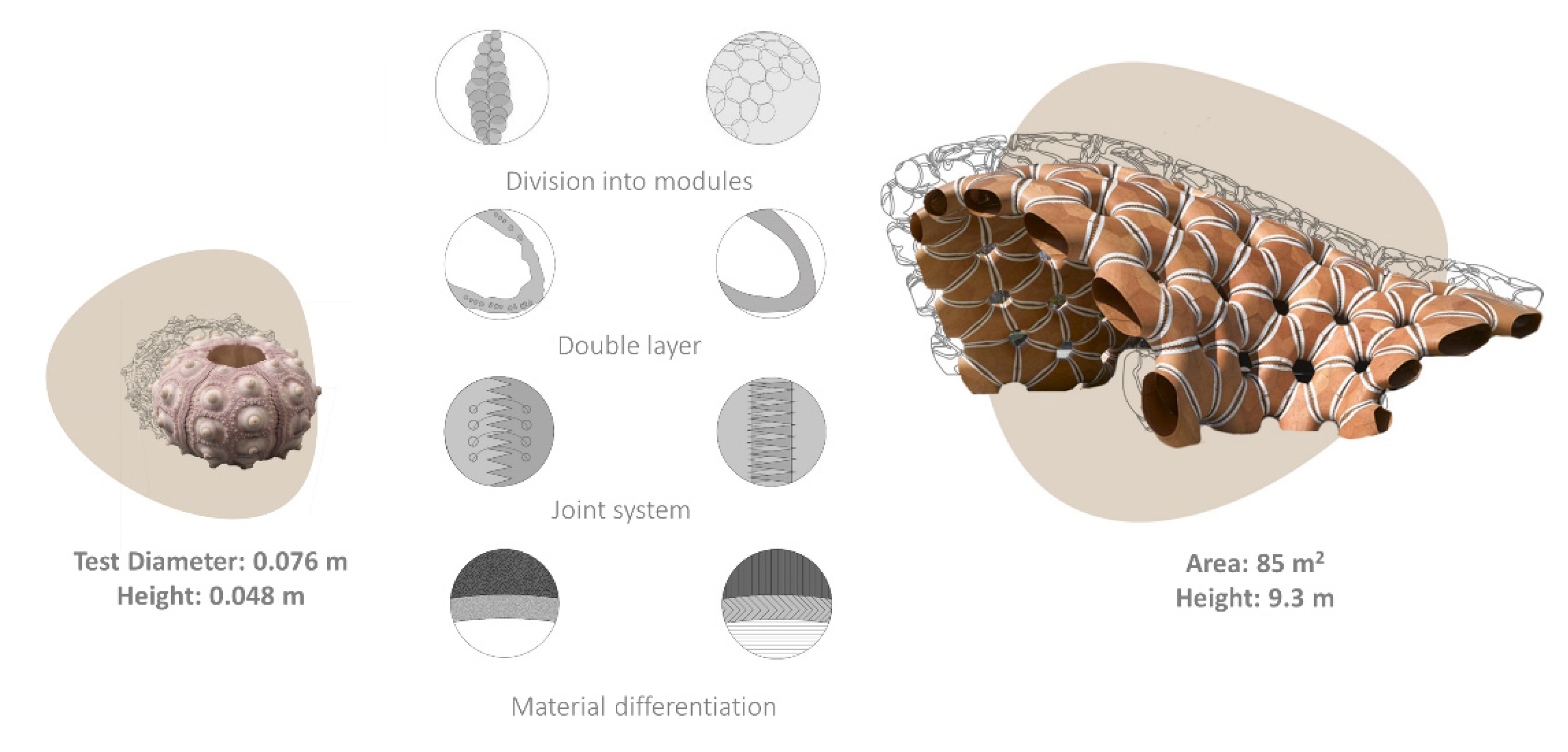 Biomimetics 06 00056 g001 Biomimetics 06 00056 g001