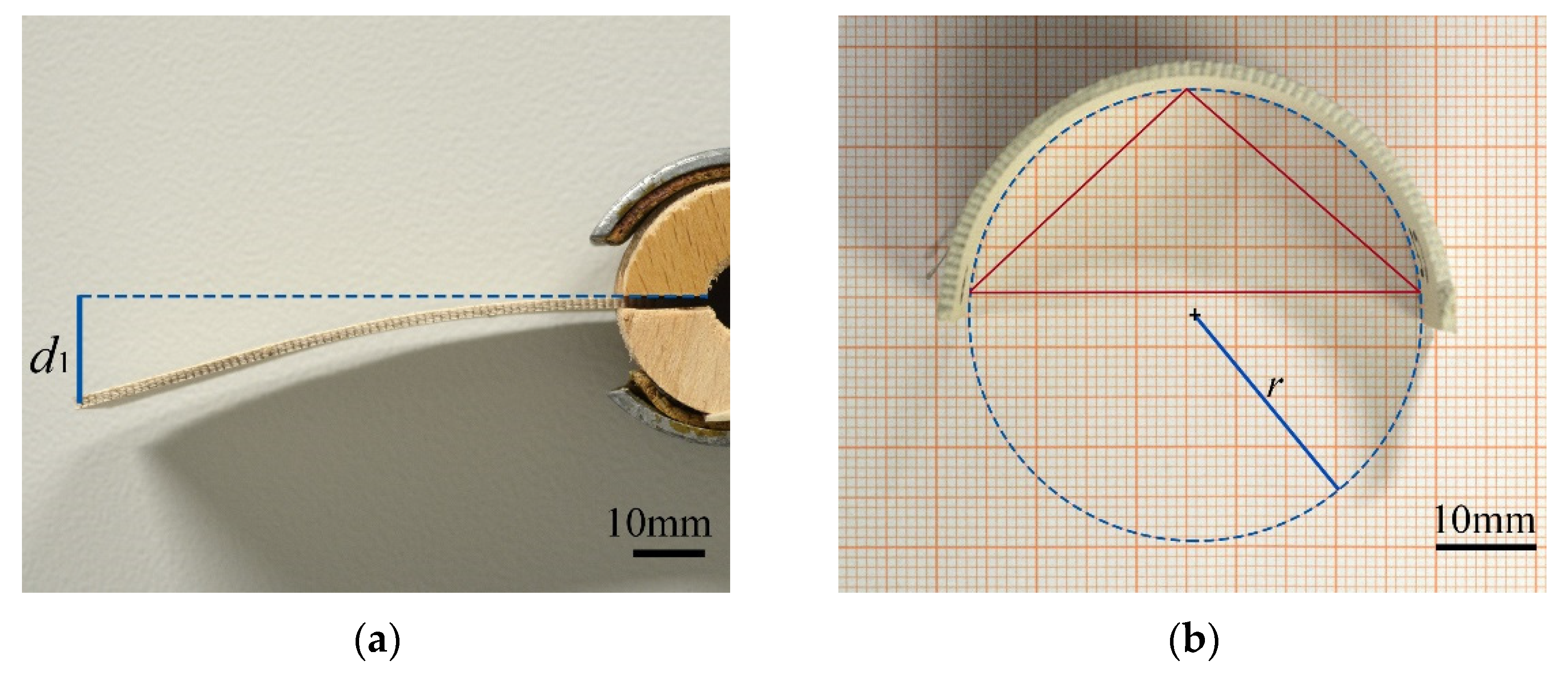 Biomimetics 06 00058 g002