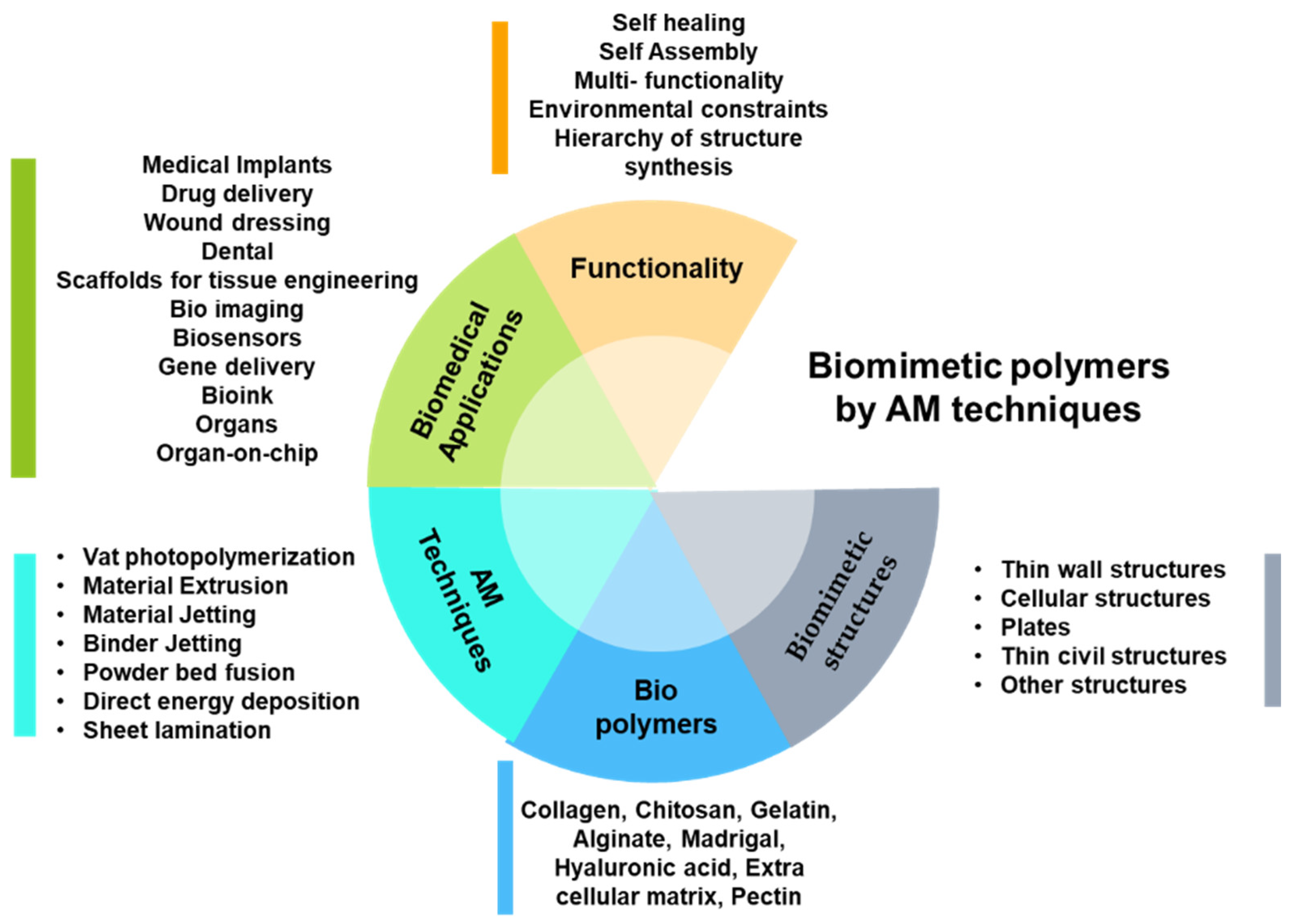 Biomimetics 06 00065 g002