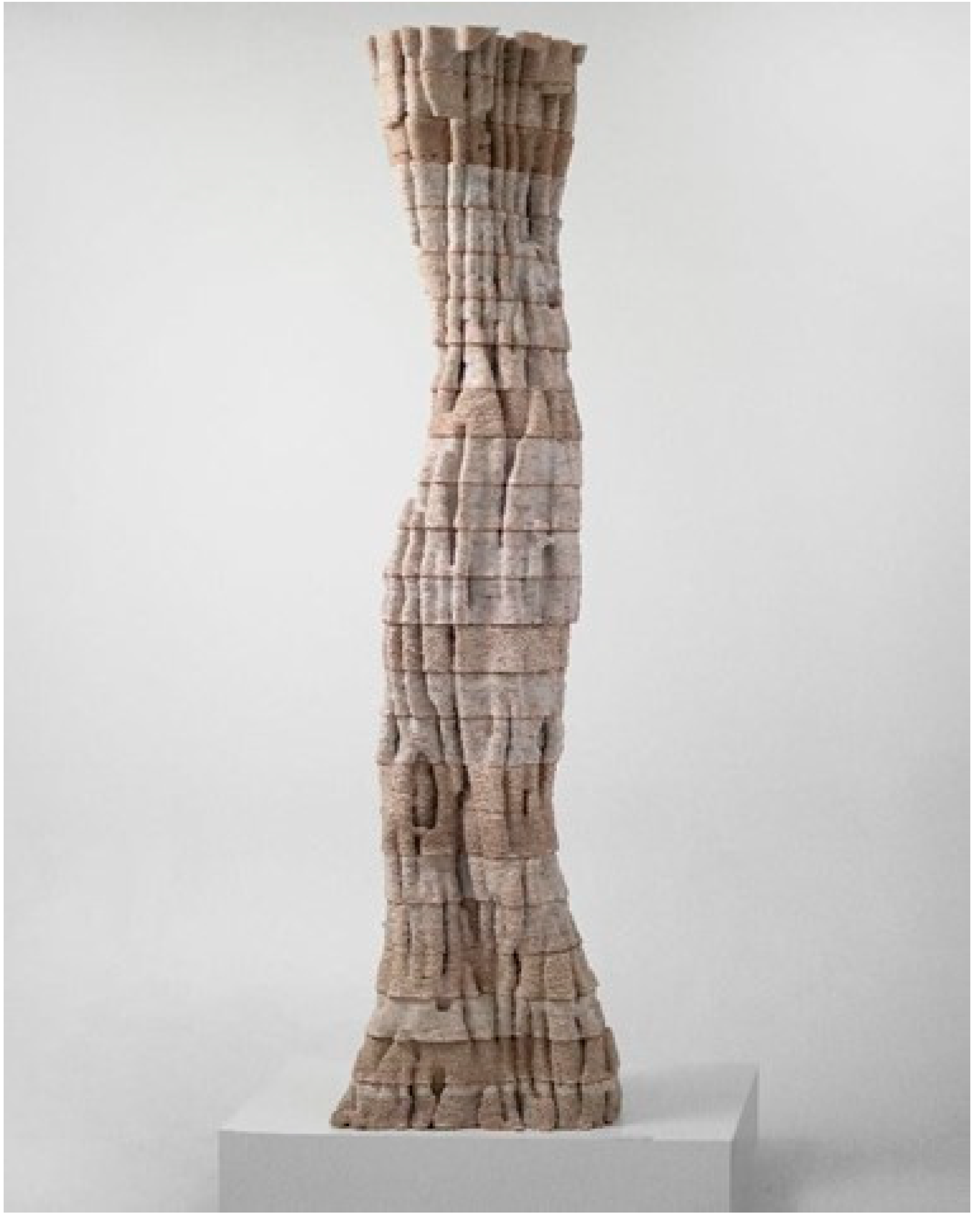 Biomimetics 06 00068 g003