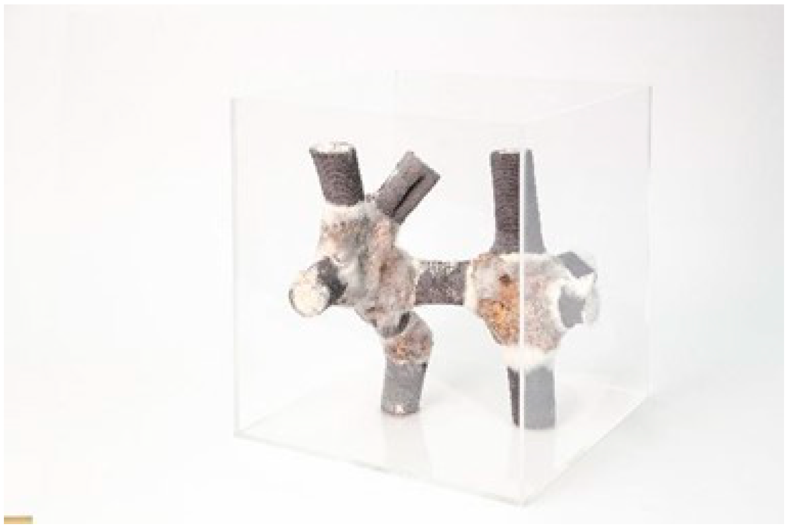 Biomimetics 06 00068 g004