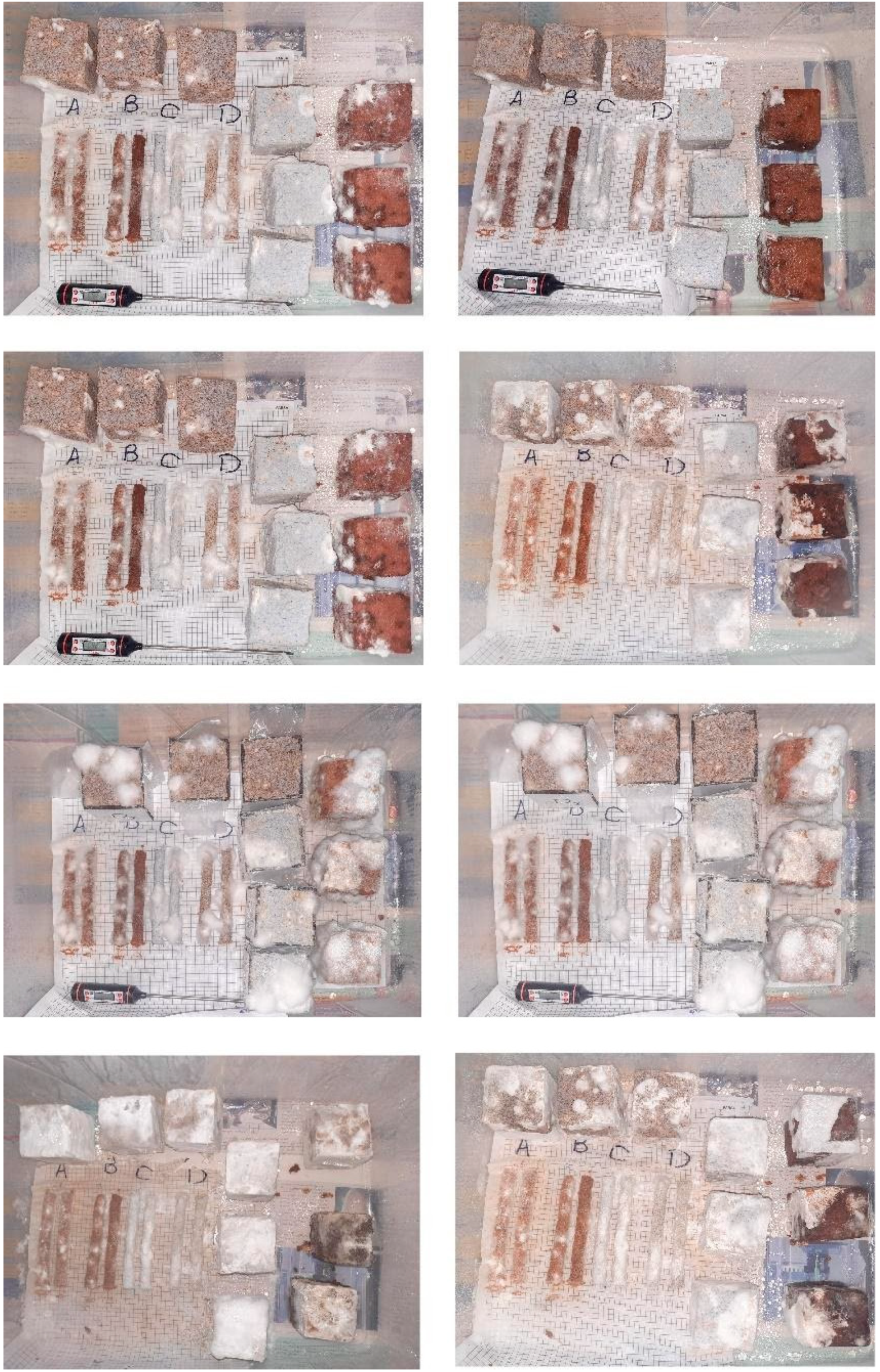 Biomimetics 06 00068 g006